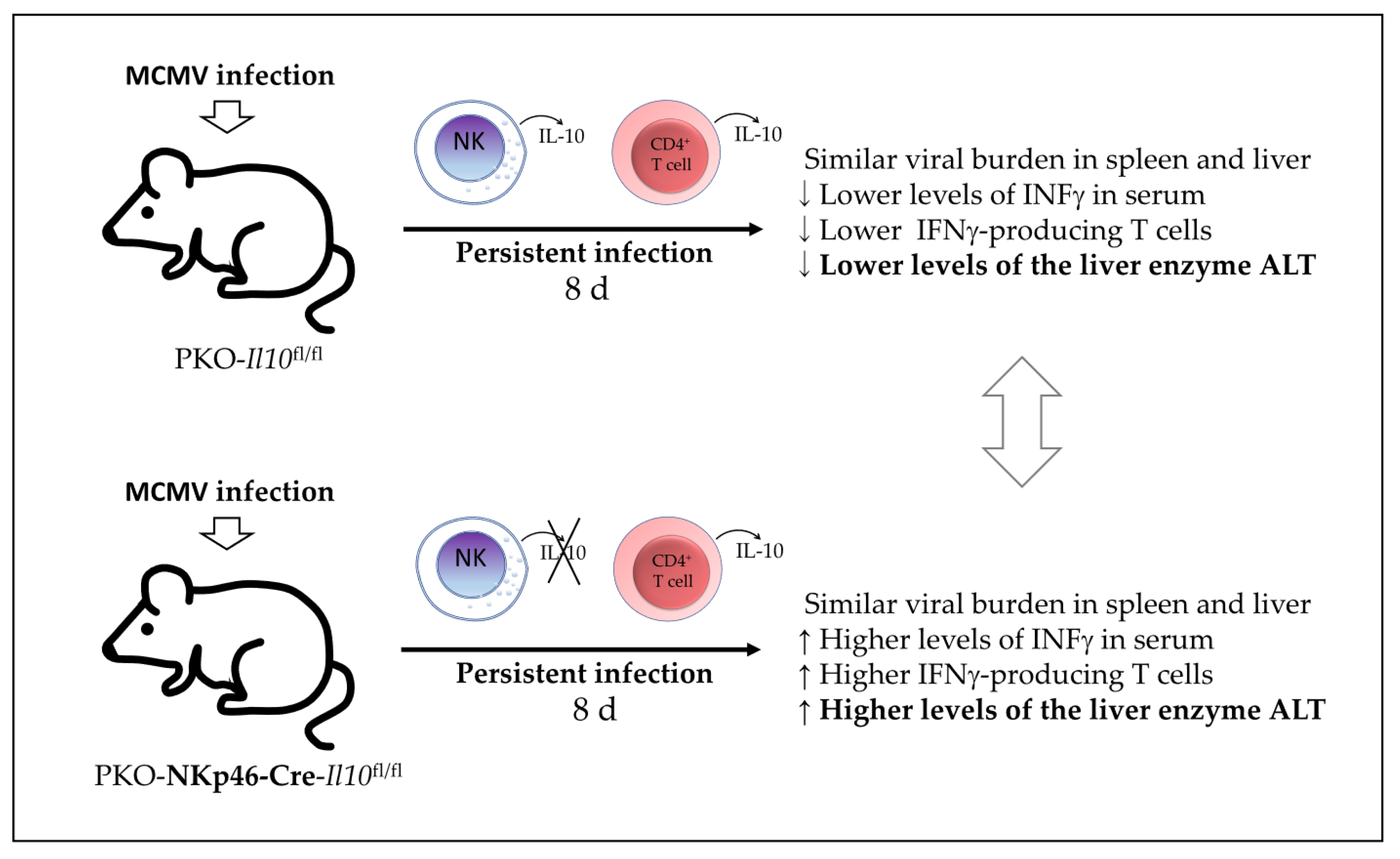 Biomolecules 12 00004 g005 550