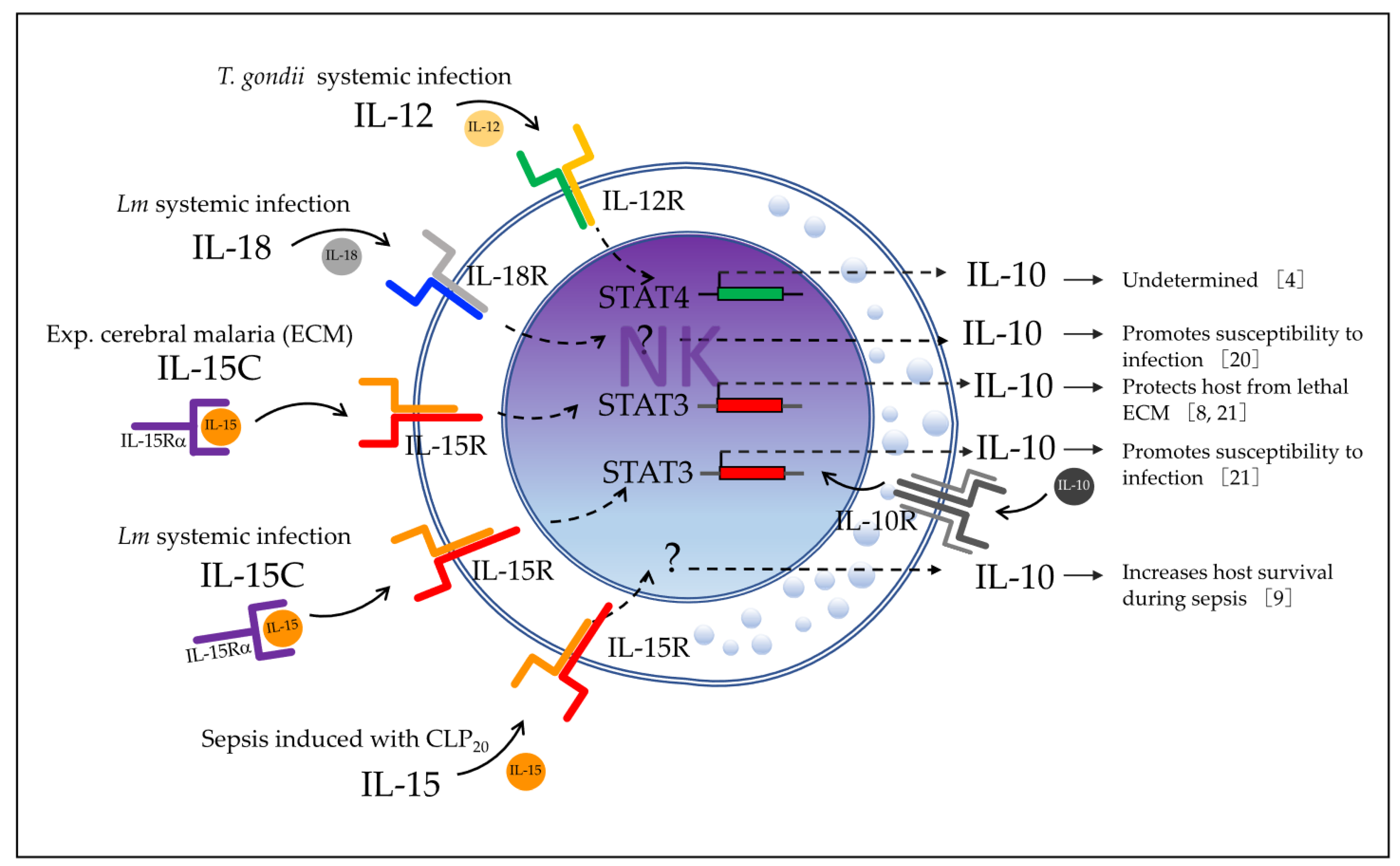 Biomolecules 12 00004 g007 550