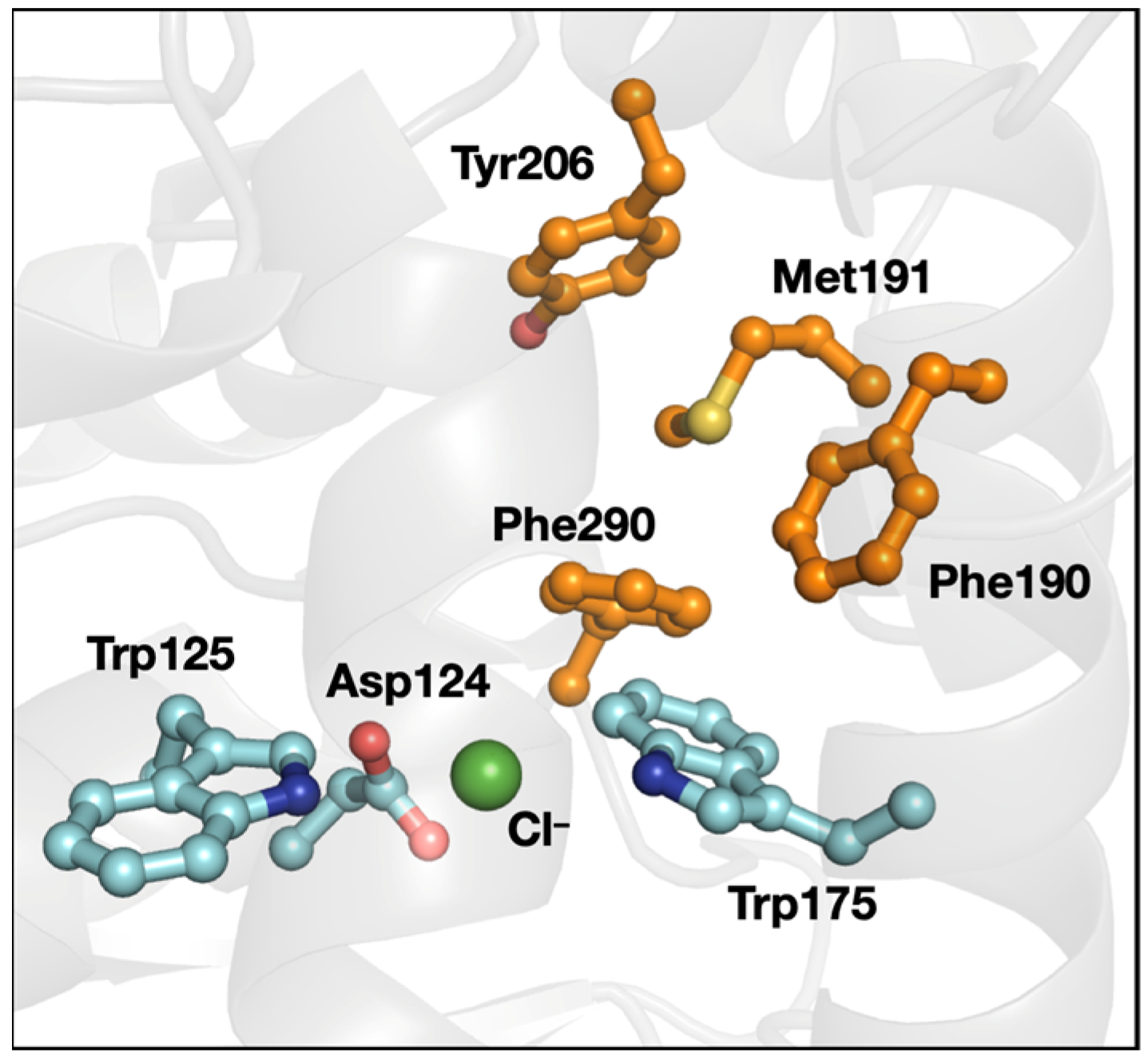 Biomolecules 12 00006 g008