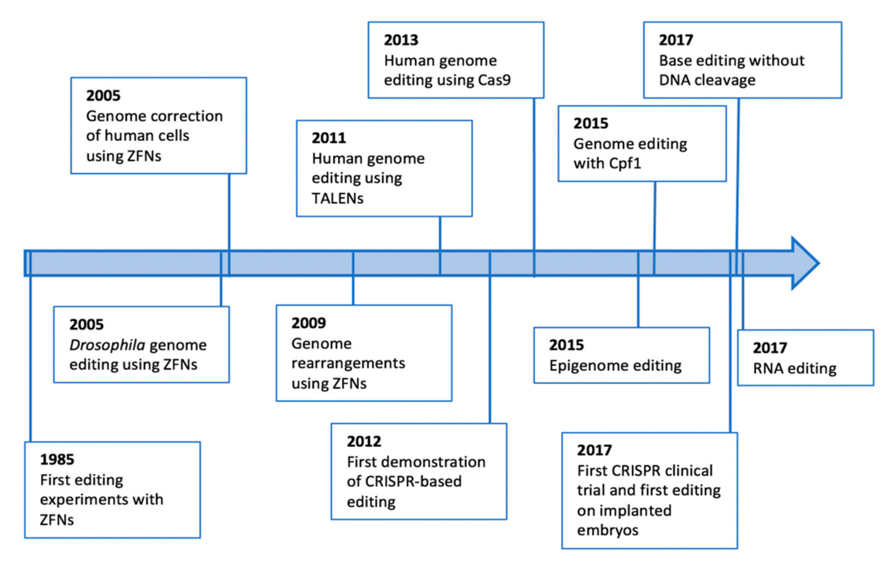 Biomolecules 12 00013 g001 550