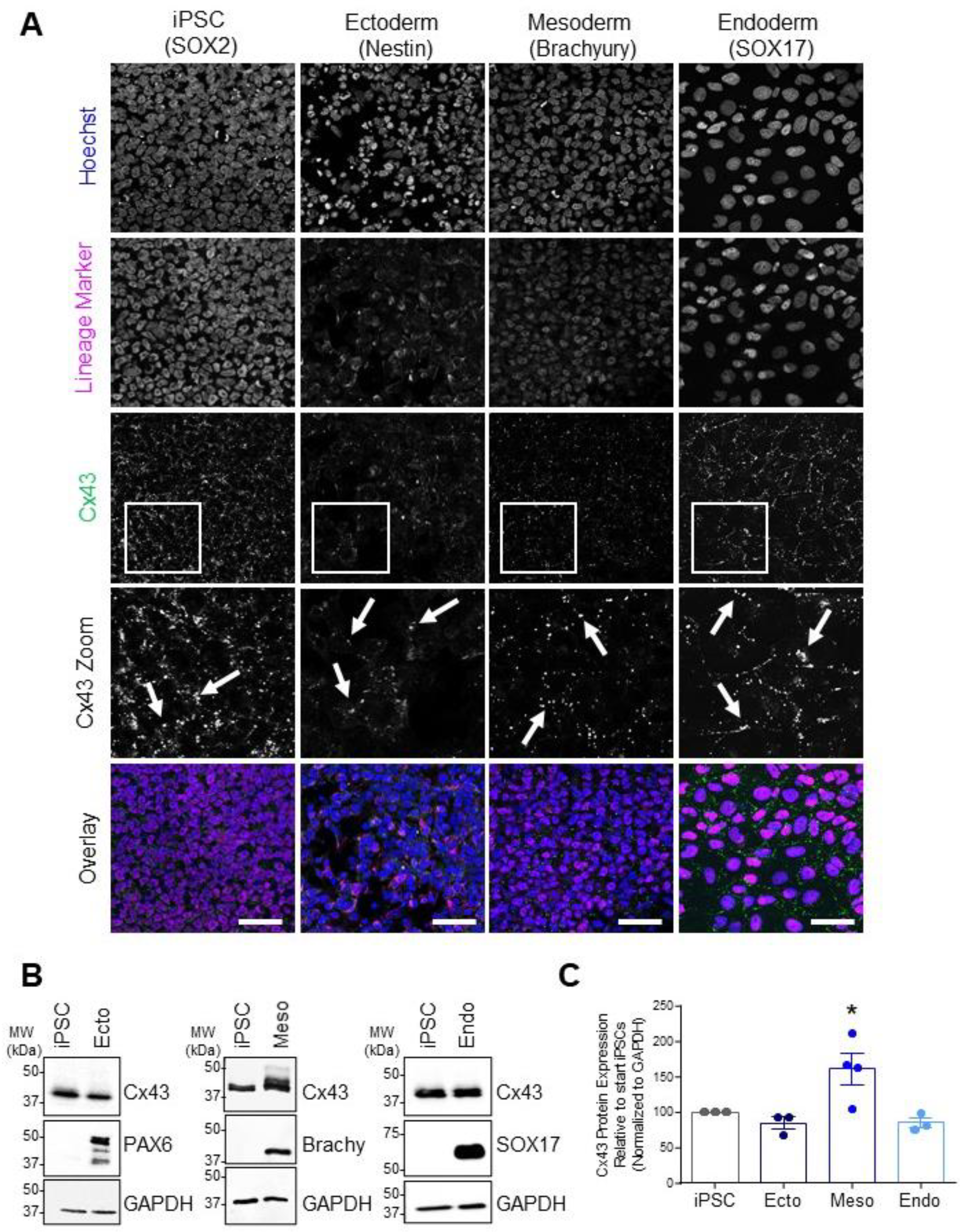 Biomolecules 12 00015 g002 Biomolecules 12 00015 g002