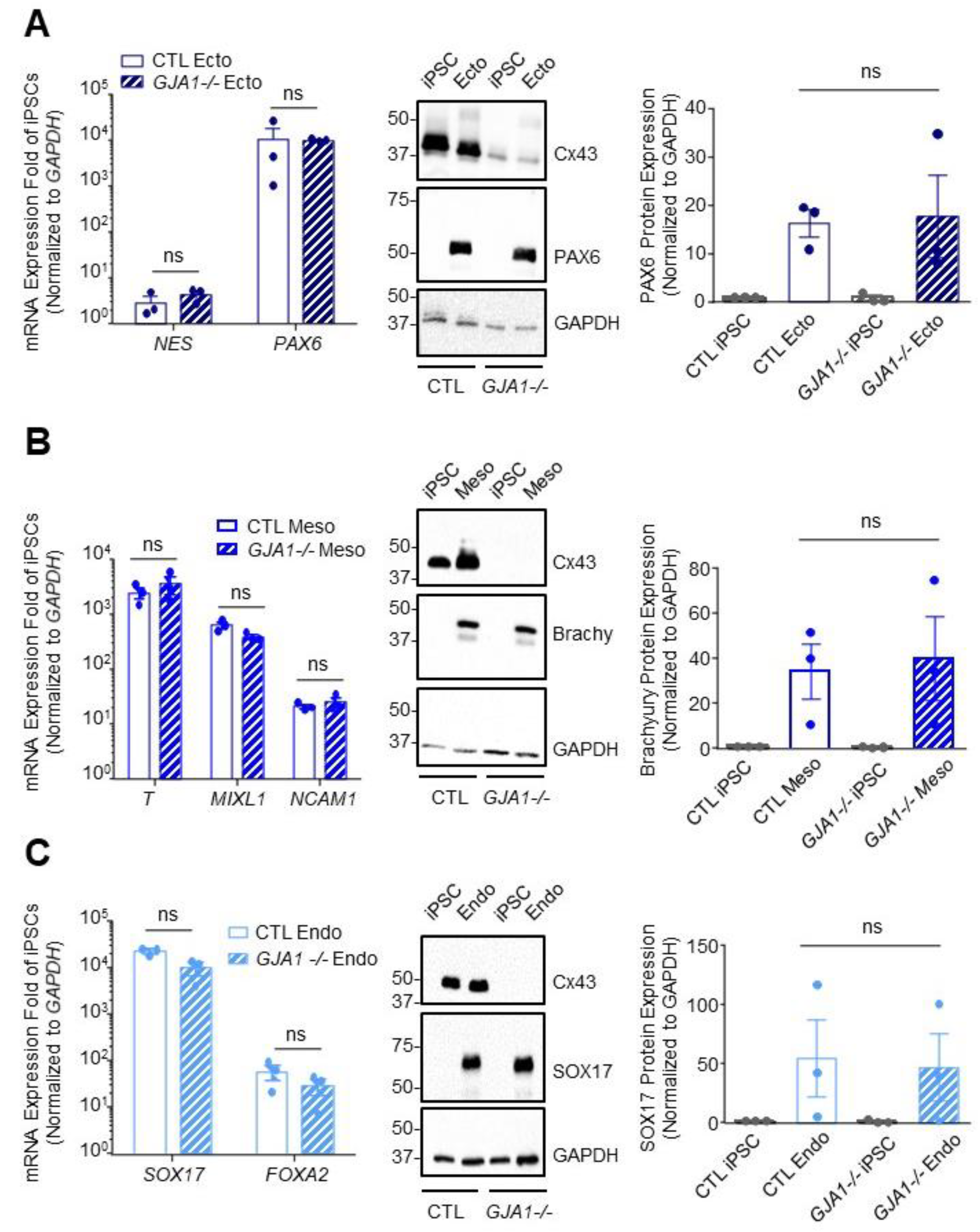 Biomolecules 12 00015 g005 Biomolecules 12 00015 g005