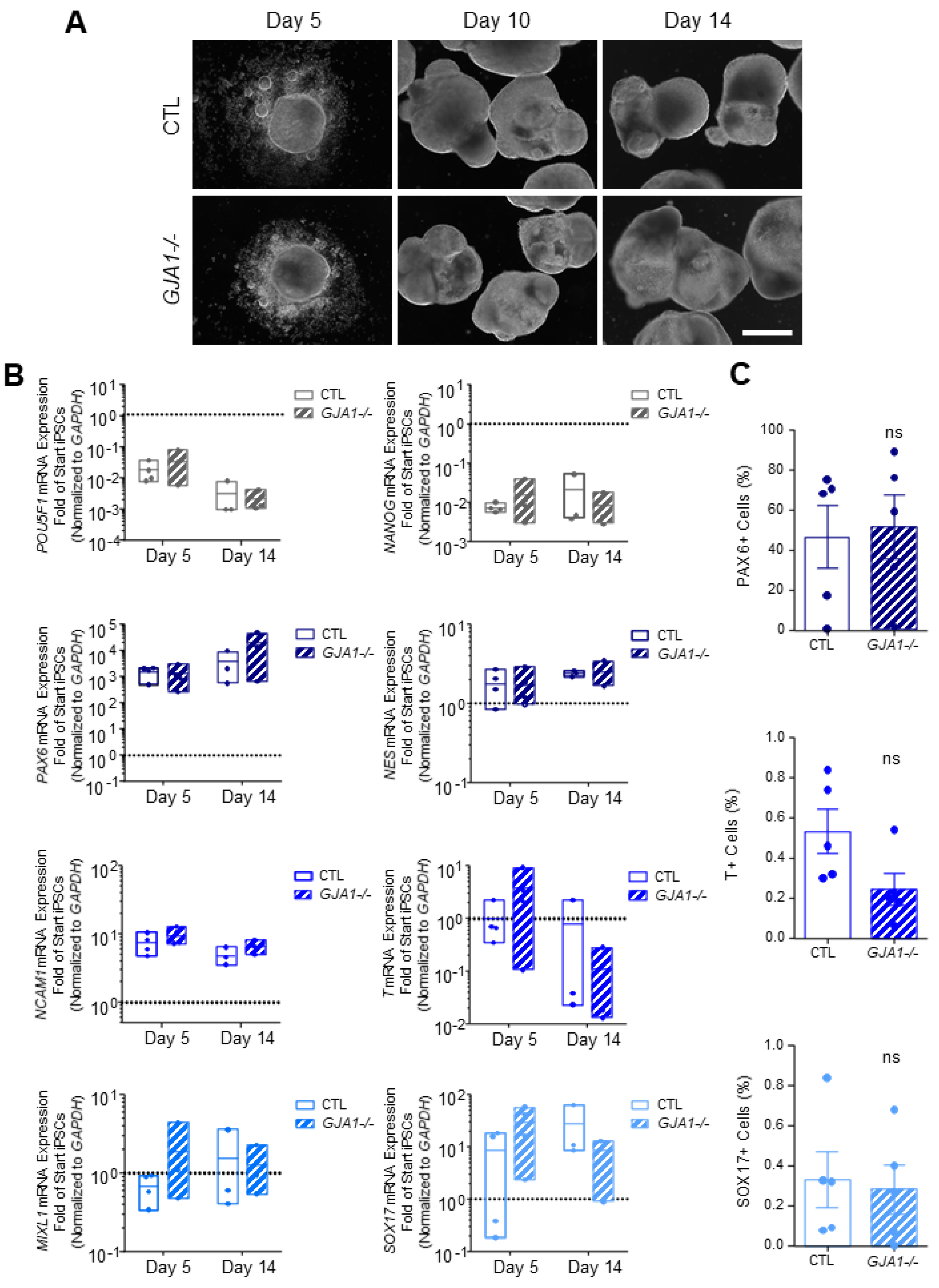 Biomolecules 12 00015 g006 Biomolecules 12 00015 g006