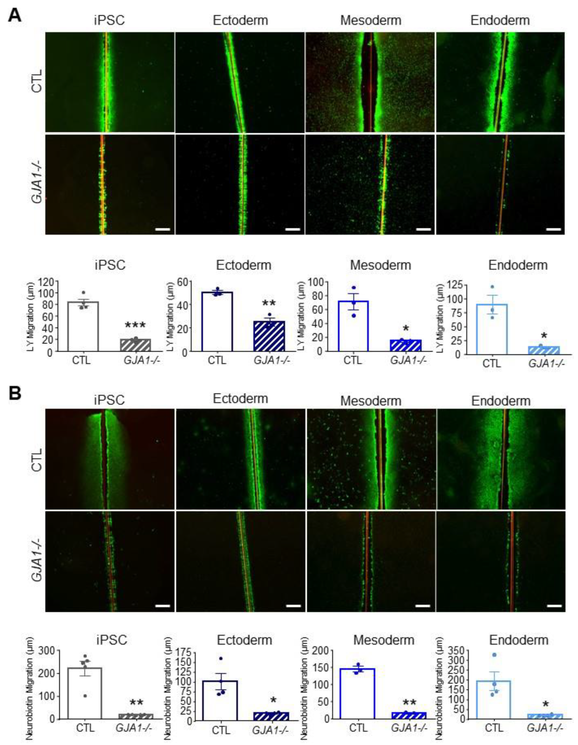 Biomolecules 12 00015 g008 Biomolecules 12 00015 g008