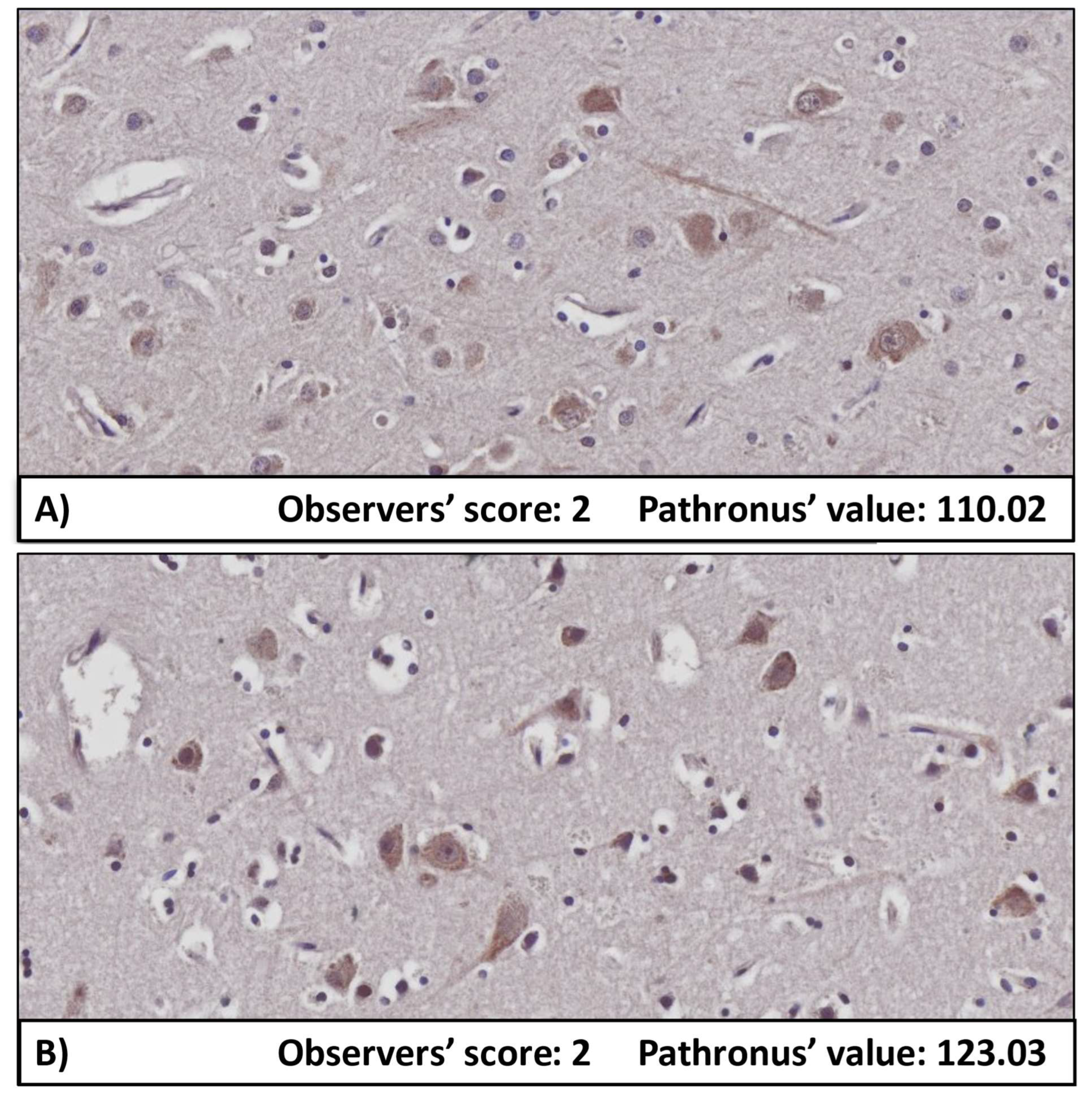Biomolecules 12 00019 g004 Biomolecules 12 00019 g004
