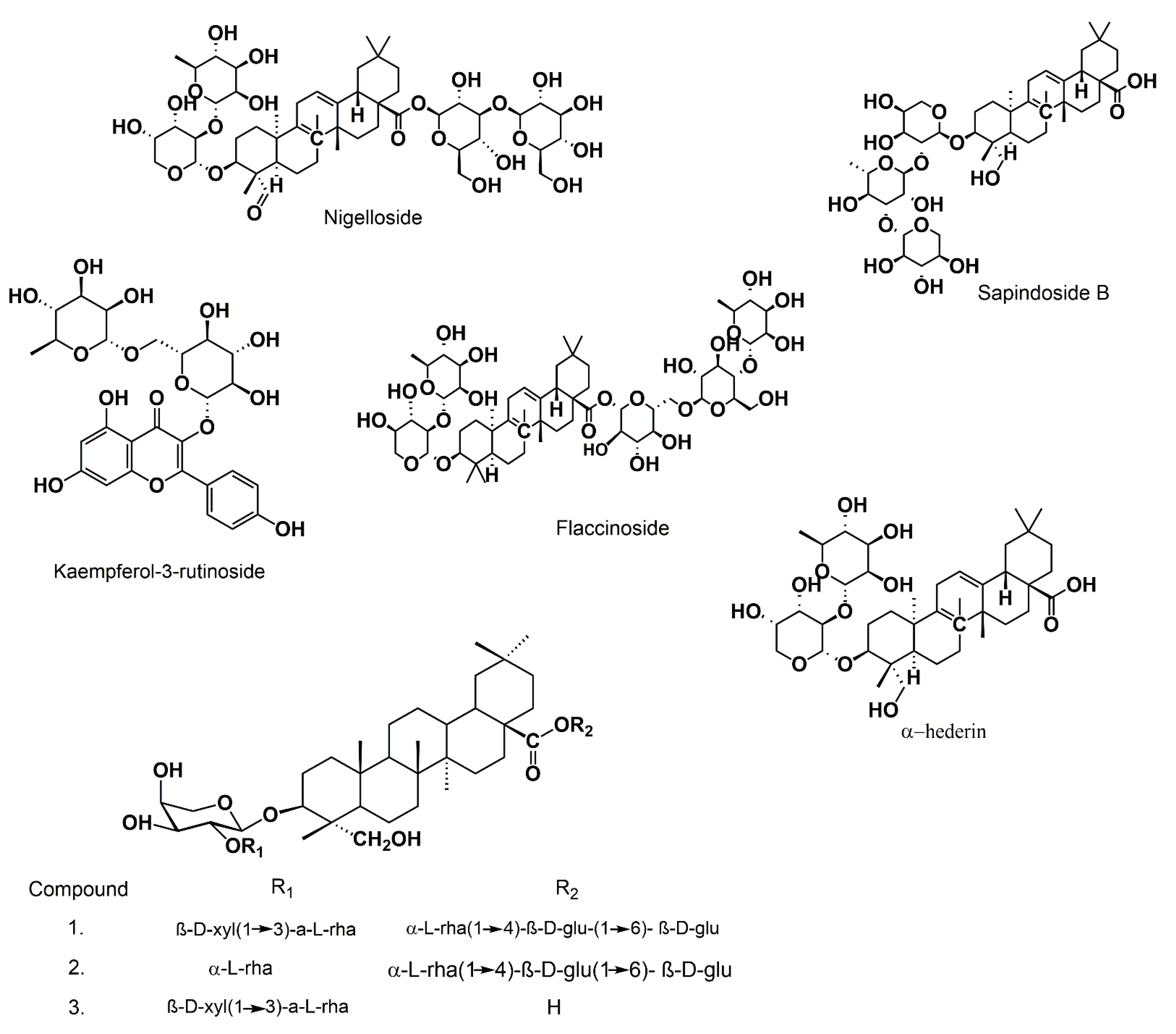 Biomolecules 12 00020 g004 550