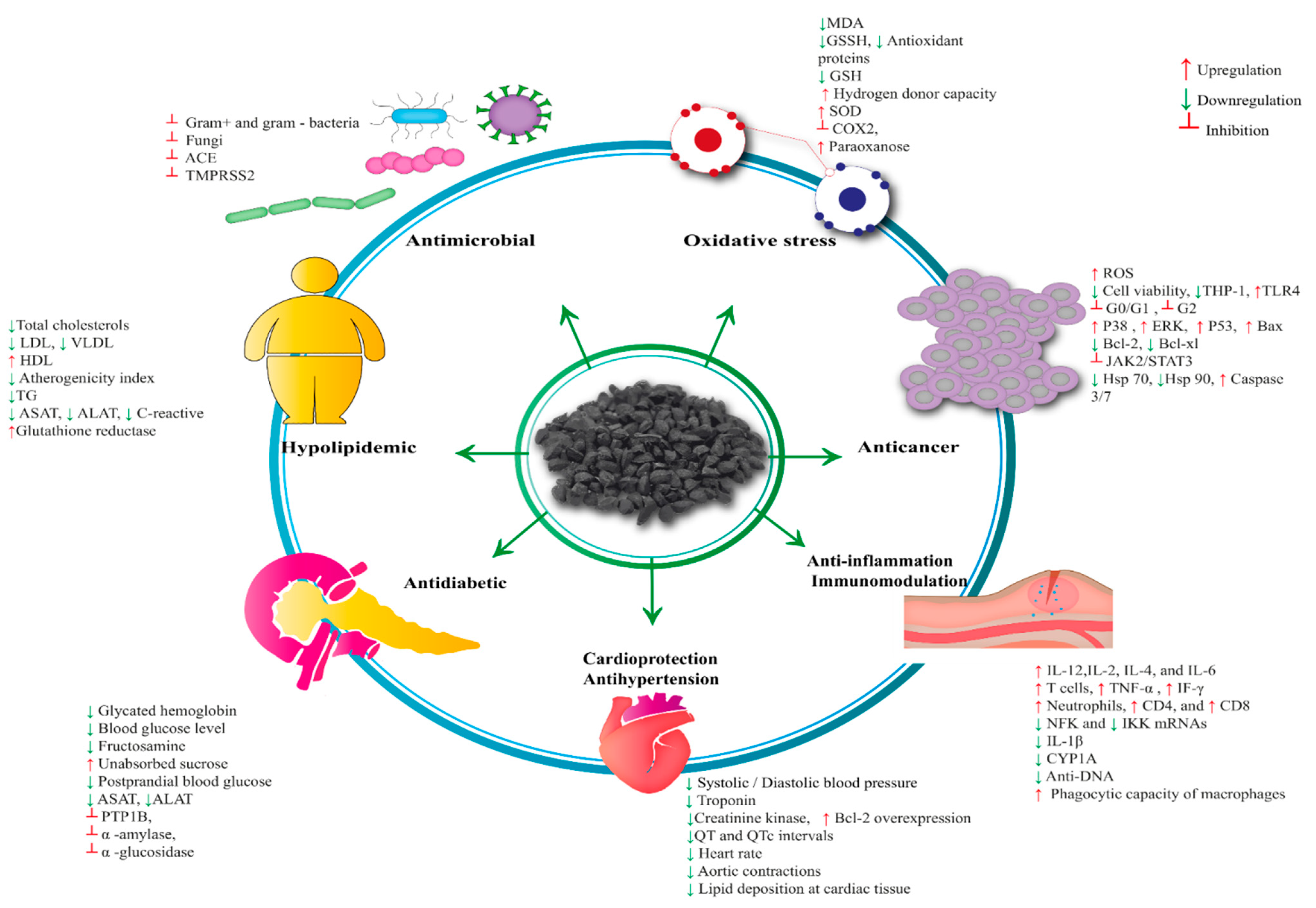 Biomolecules 12 00020 g006 550