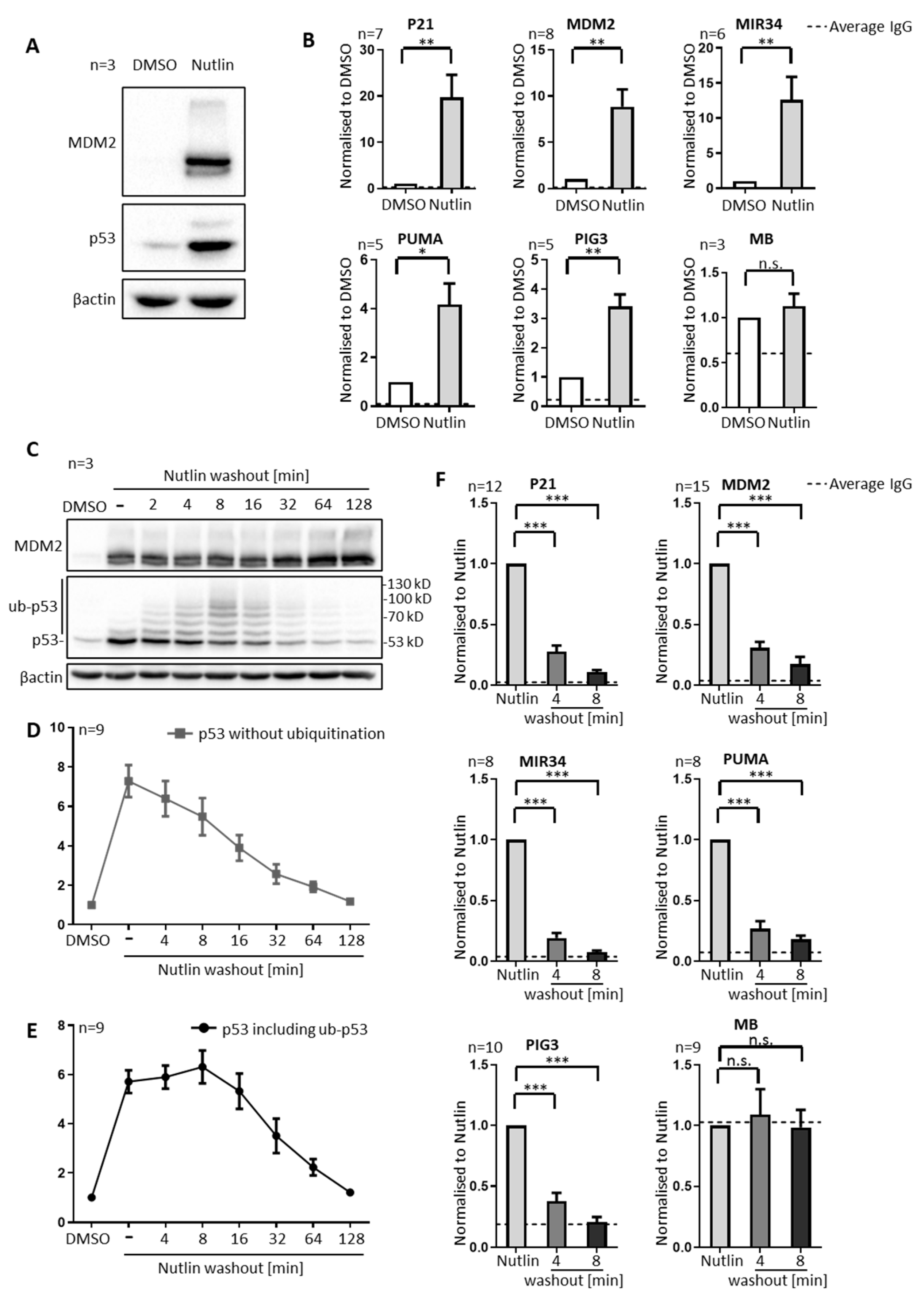 Biomolecules 12 00022 g001
