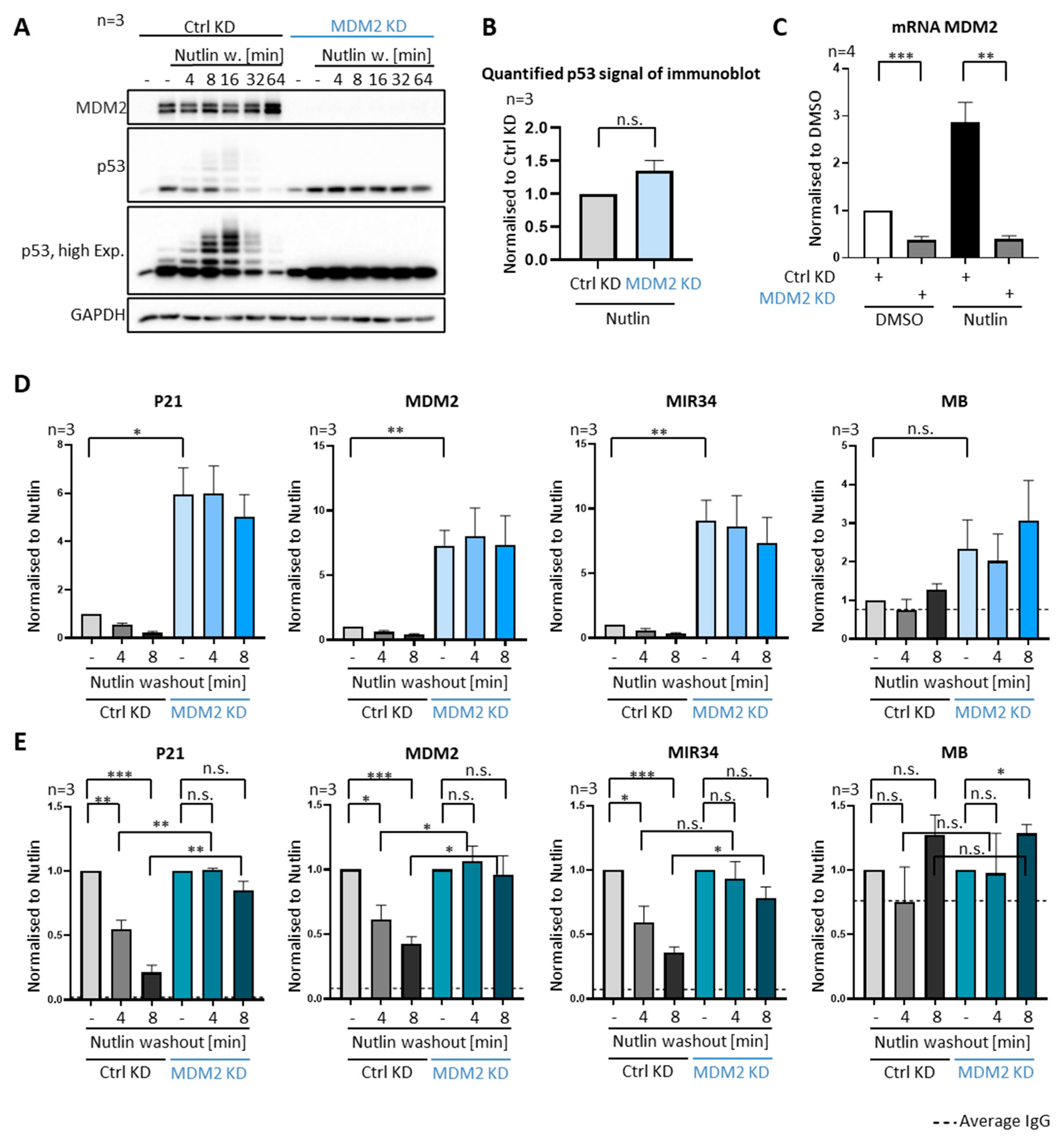 Biomolecules 12 00022 g003