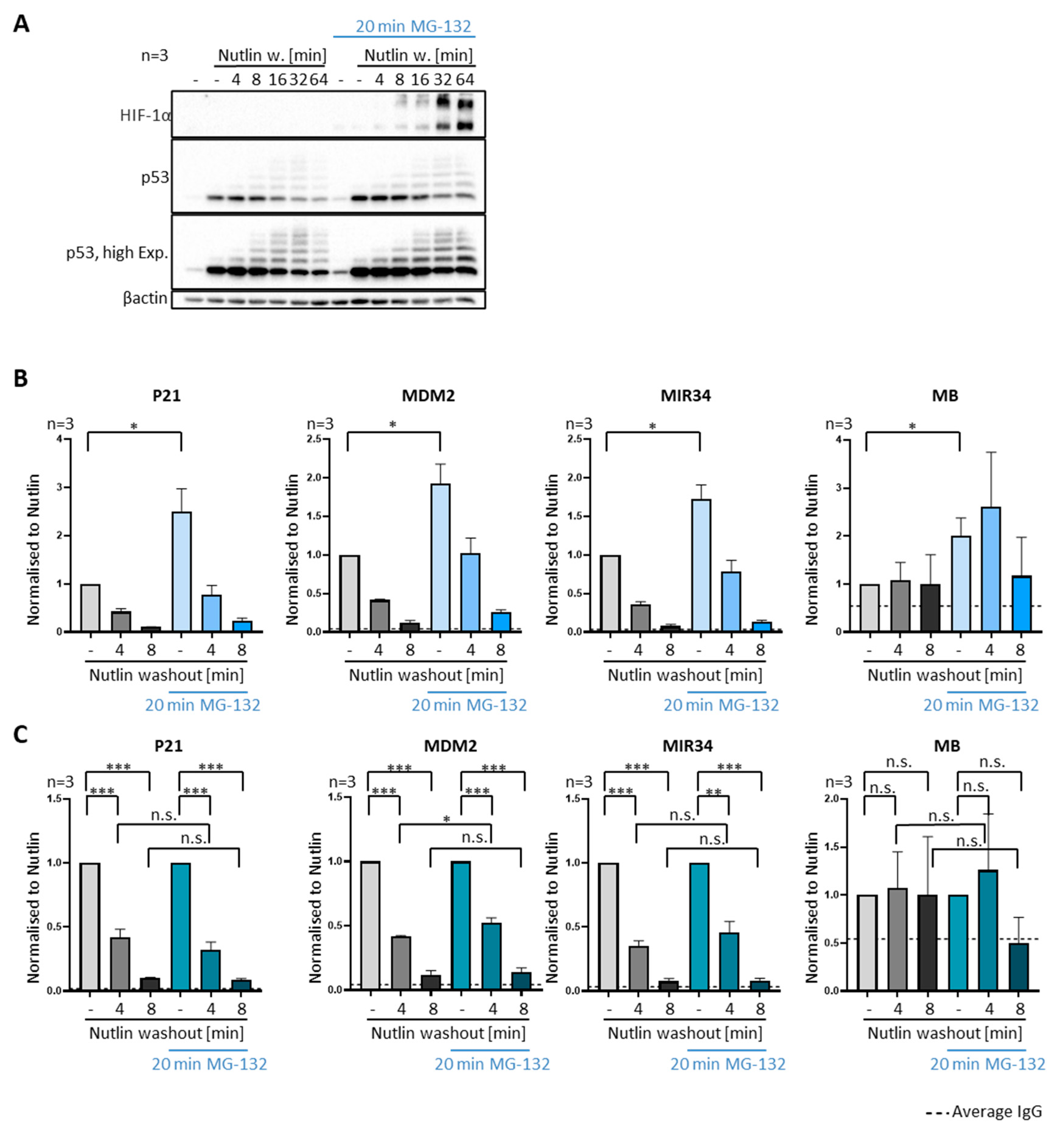 Biomolecules 12 00022 g004
