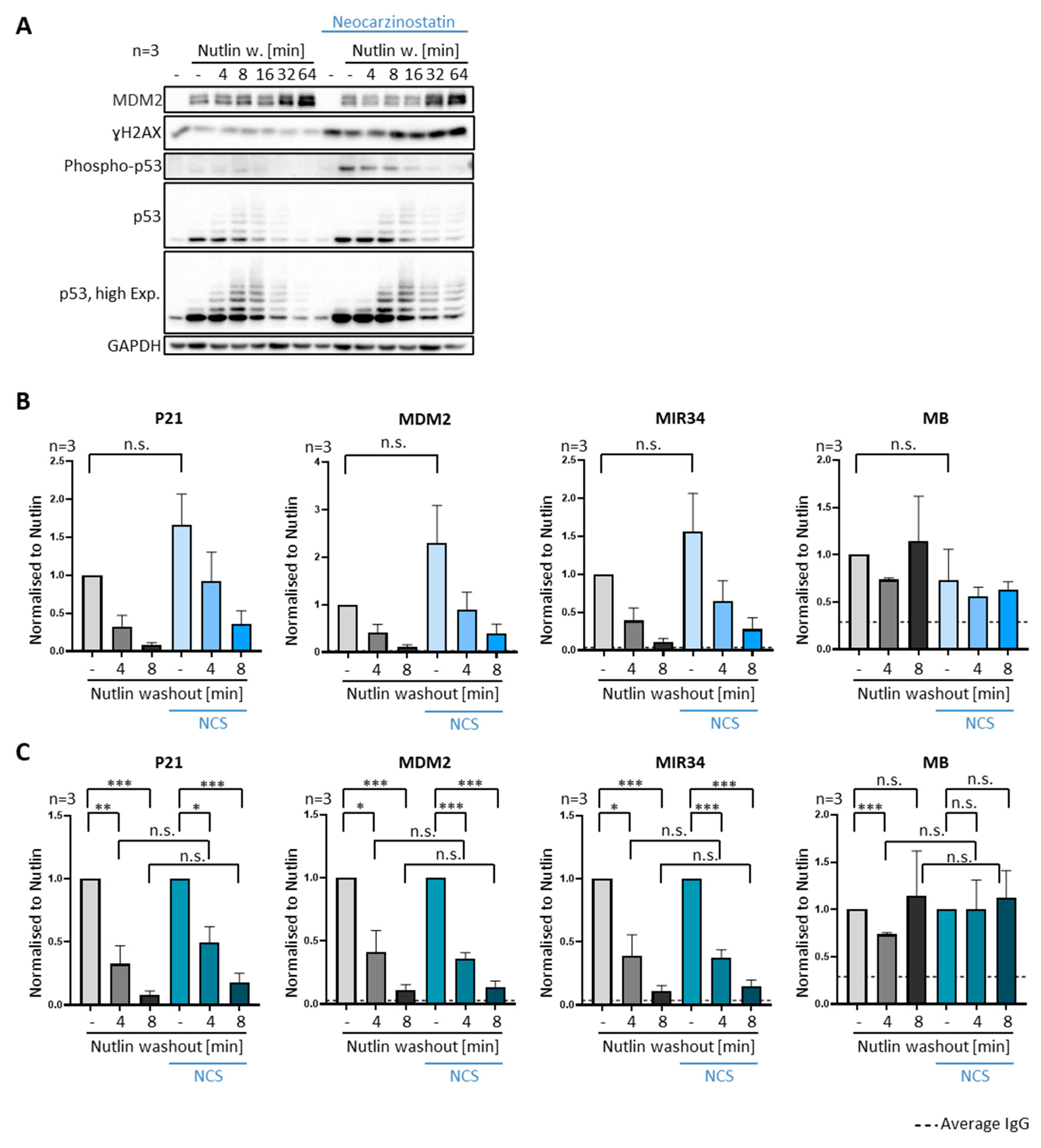 Biomolecules 12 00022 g005