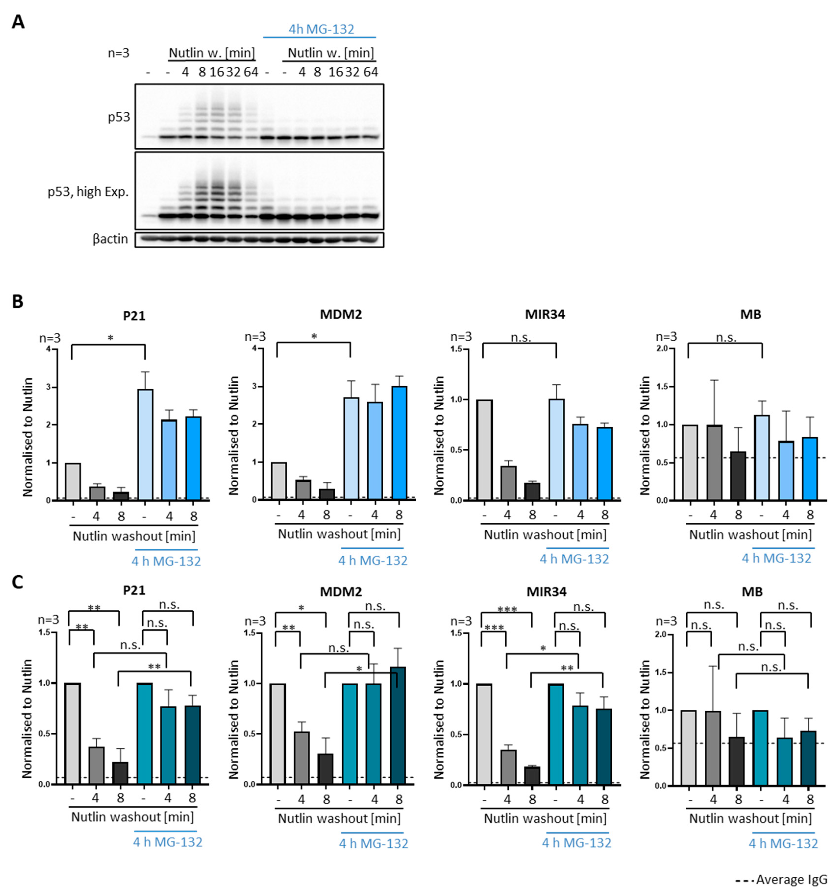 Biomolecules 12 00022 g006