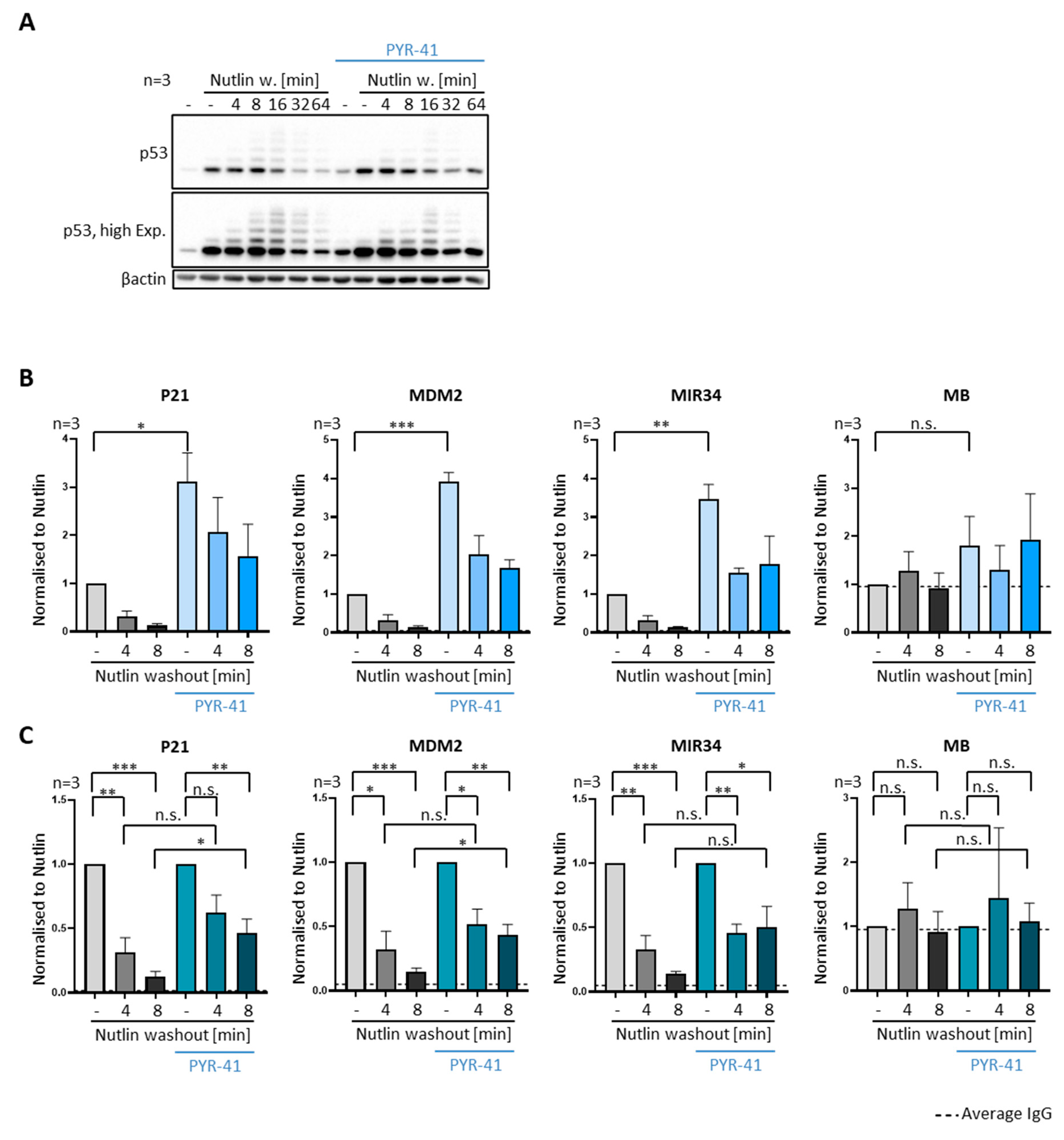 Biomolecules 12 00022 g007