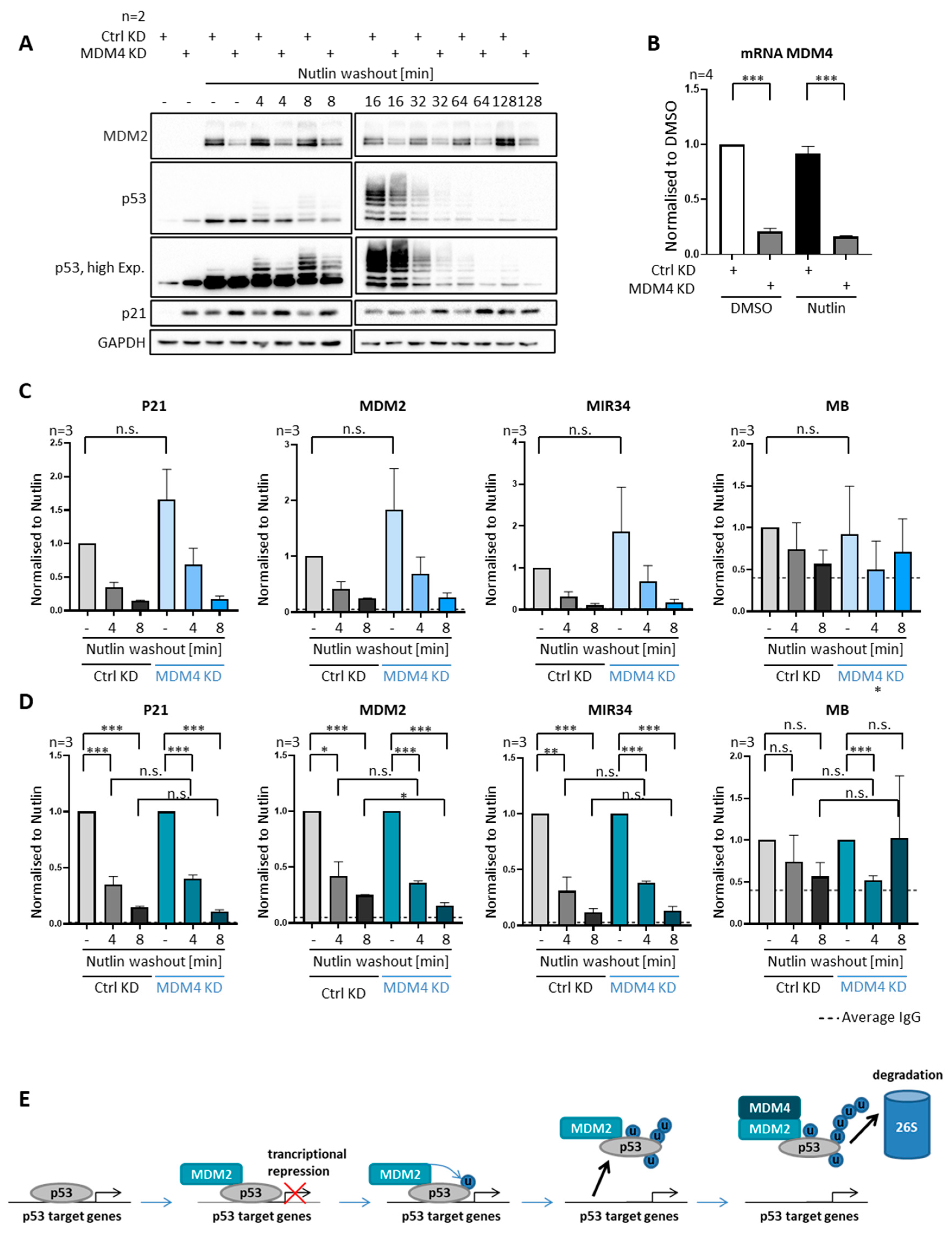 Biomolecules 12 00022 g008