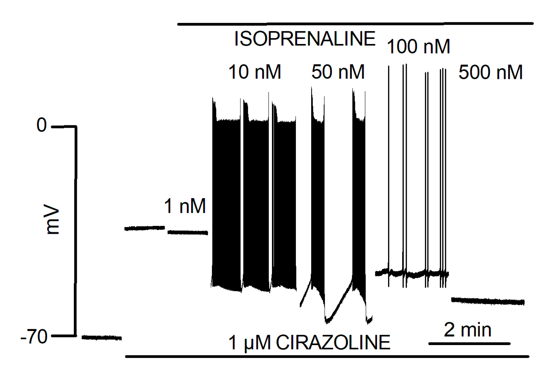 Biomolecules 12 00023 g001