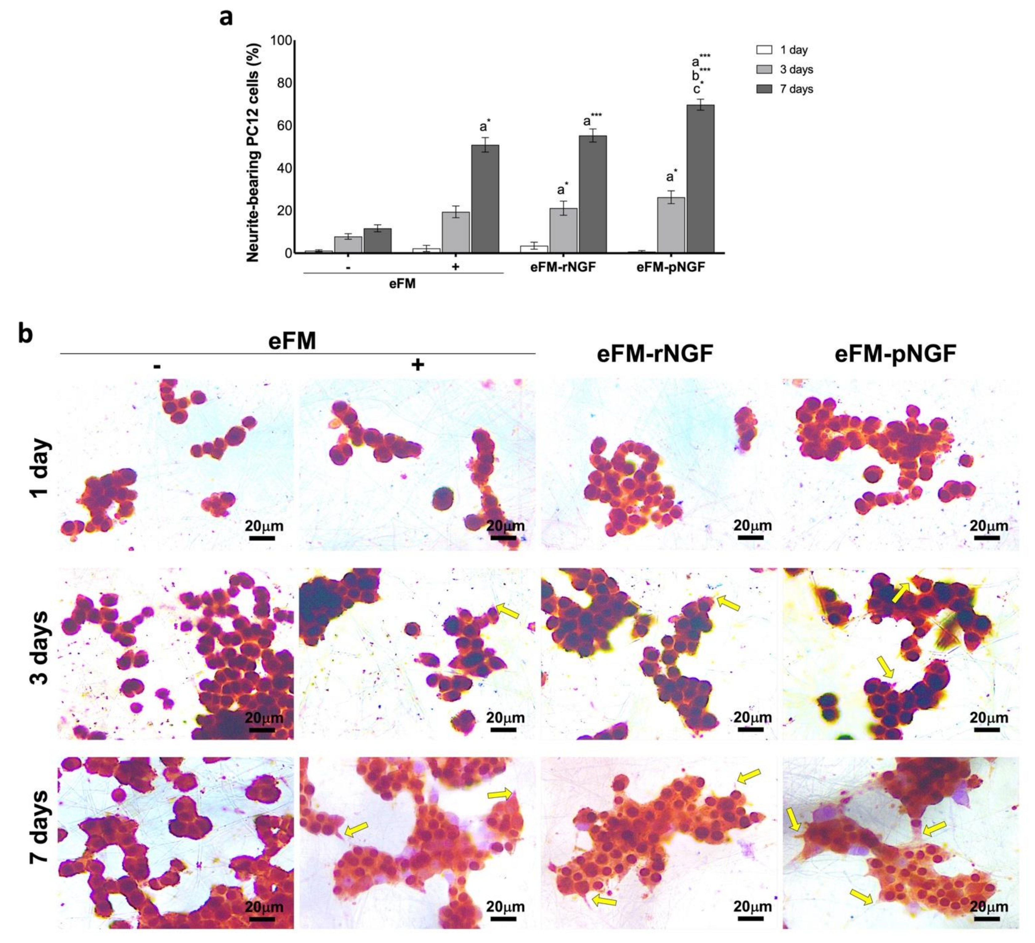Biomolecules 12 00025 g003