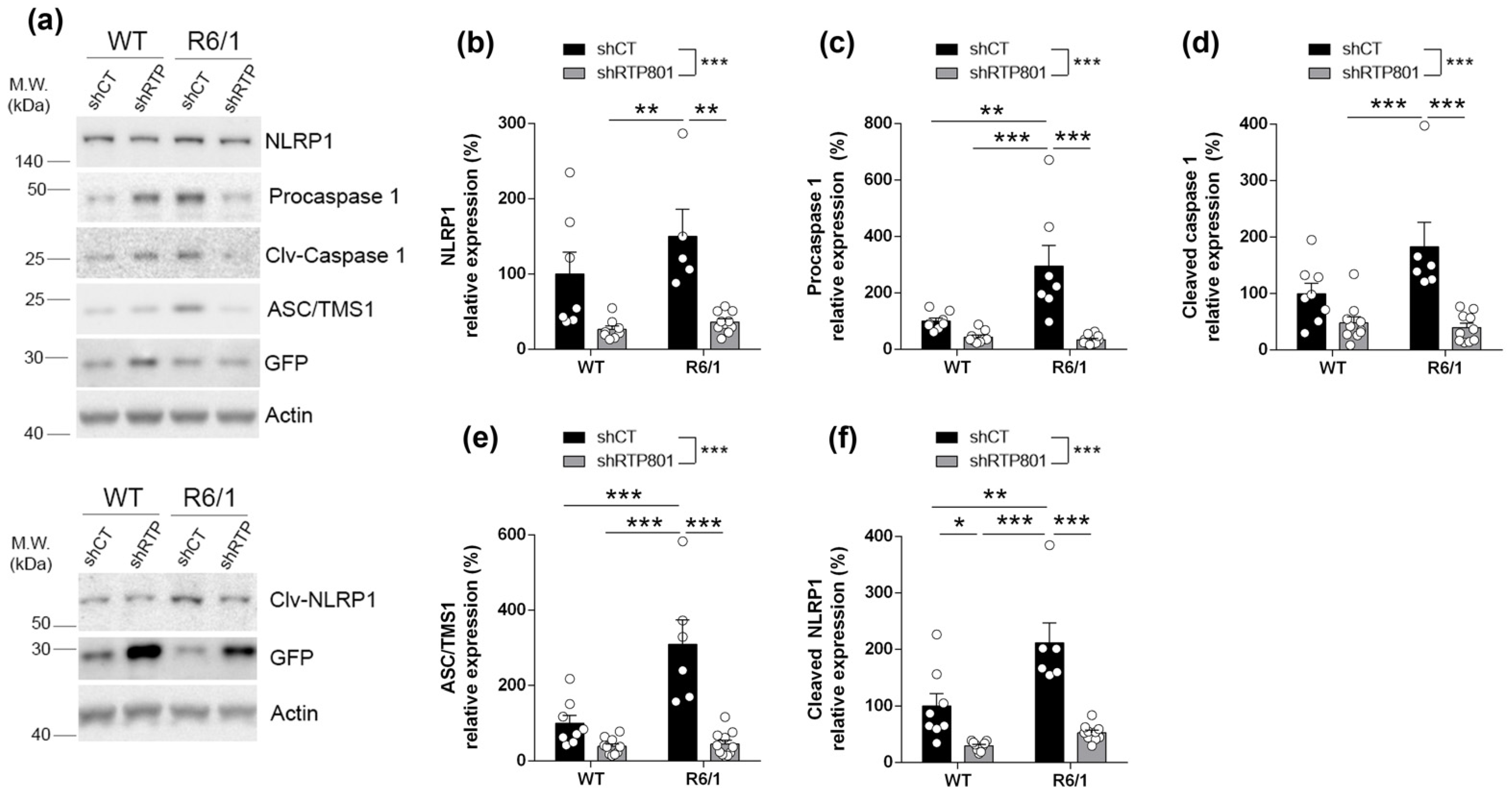 Biomolecules 12 00034 g005