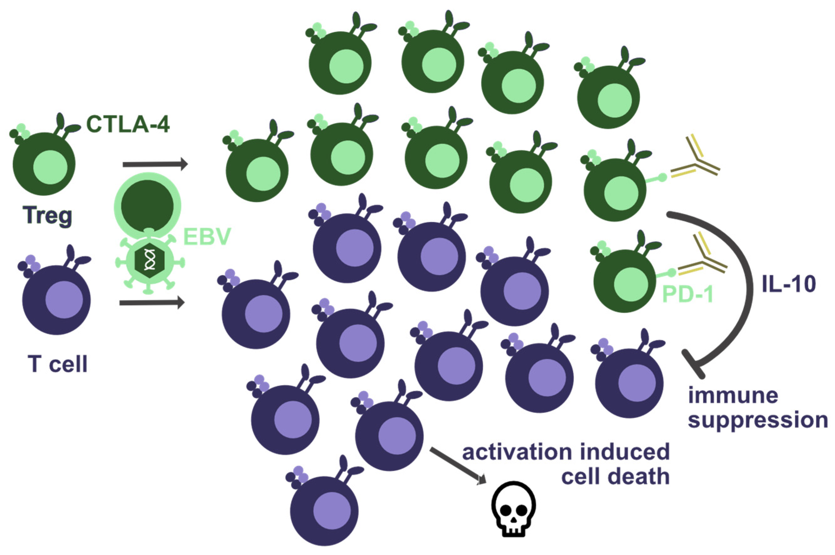 Biomolecules 12 00038 g002