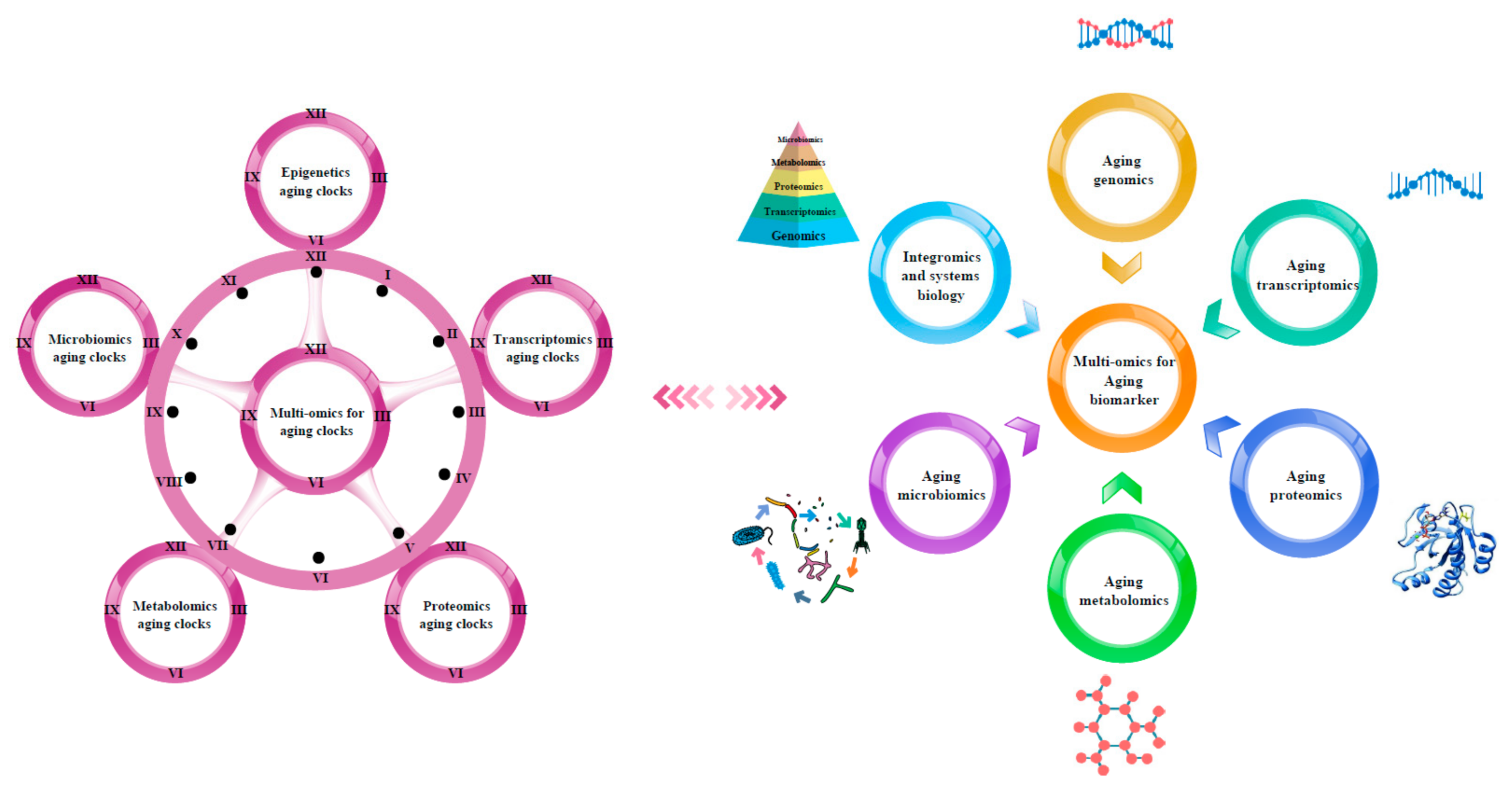 Biomolecules 12 00039 g001