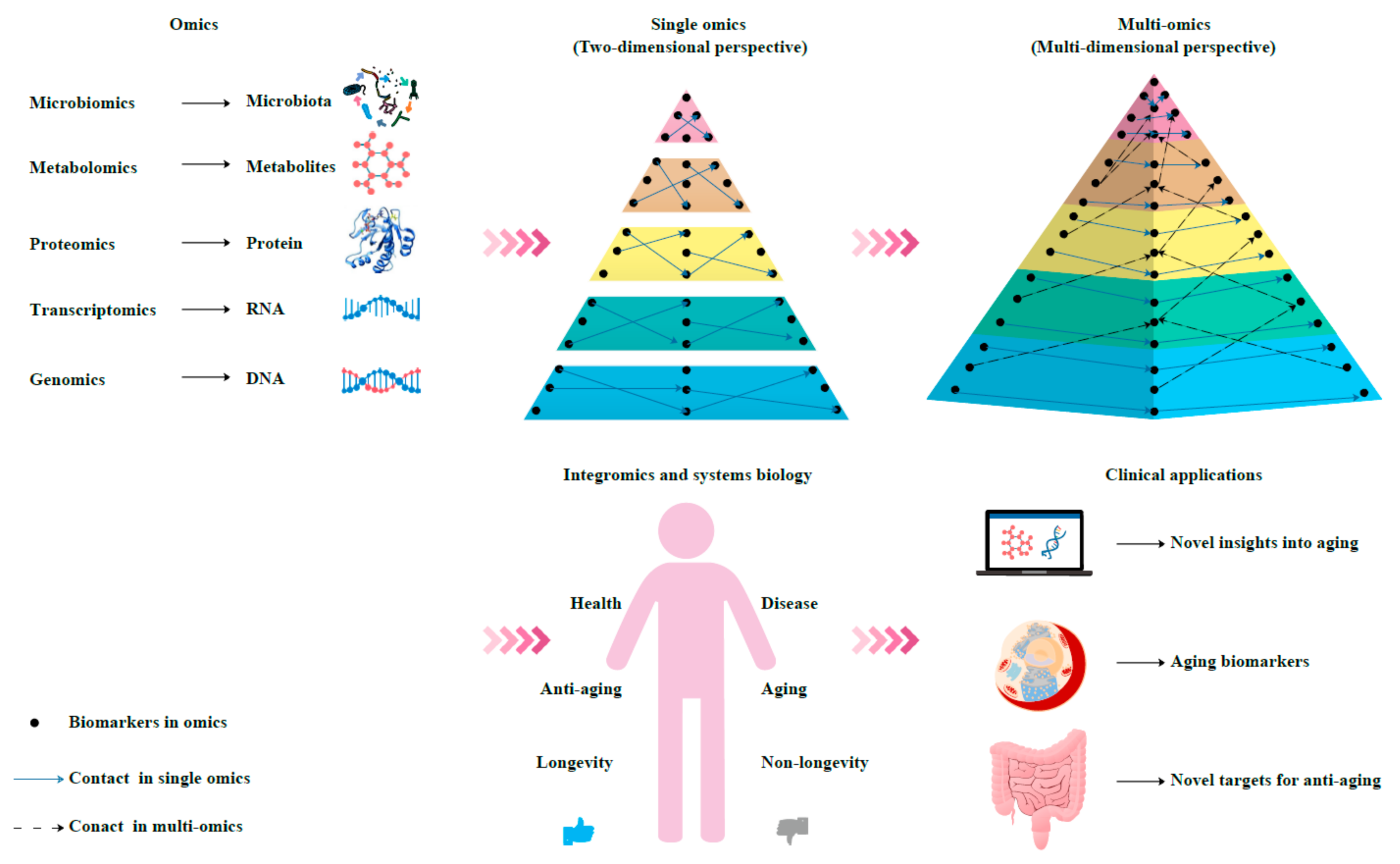 Biomolecules 12 00039 g002