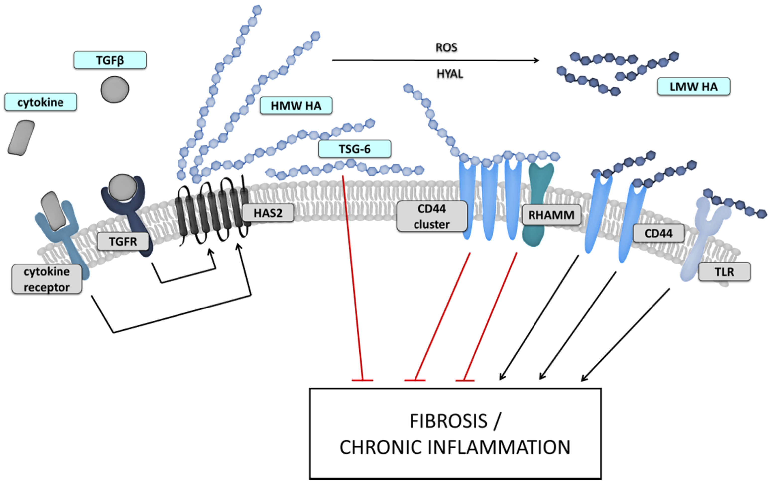 Biomolecules 12 00045 g002