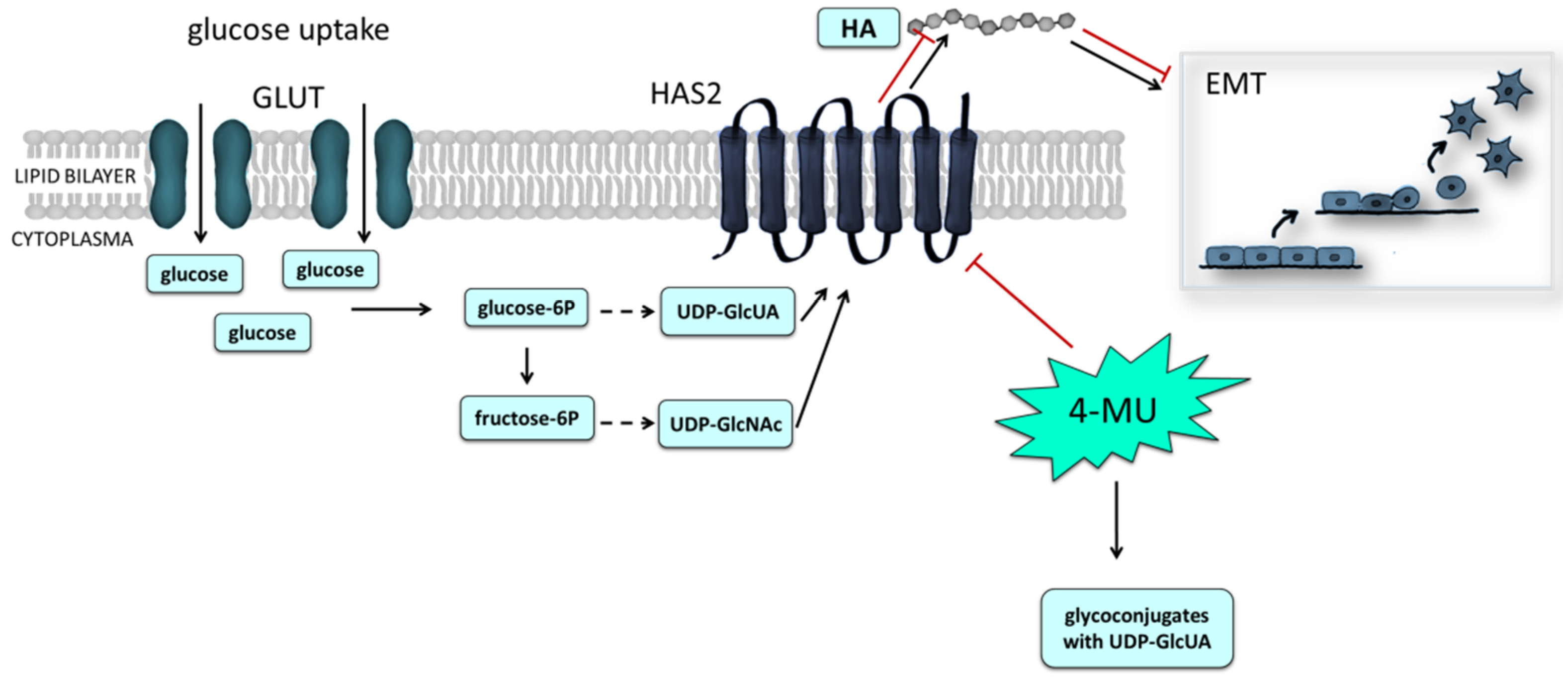Biomolecules 12 00045 g003