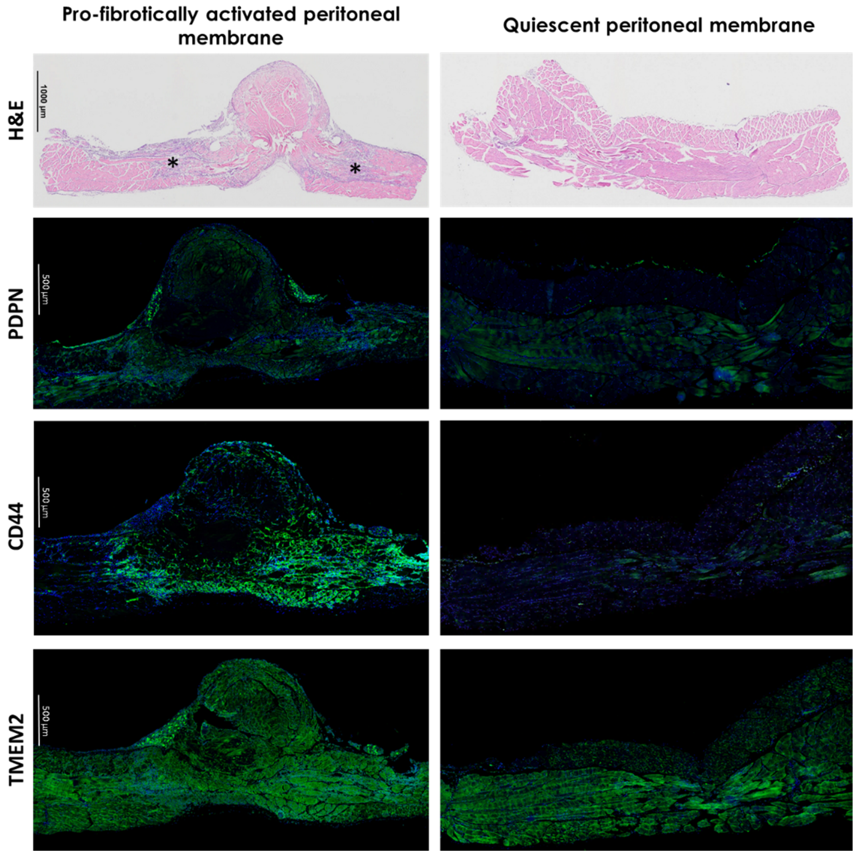 Biomolecules 12 00045 g004