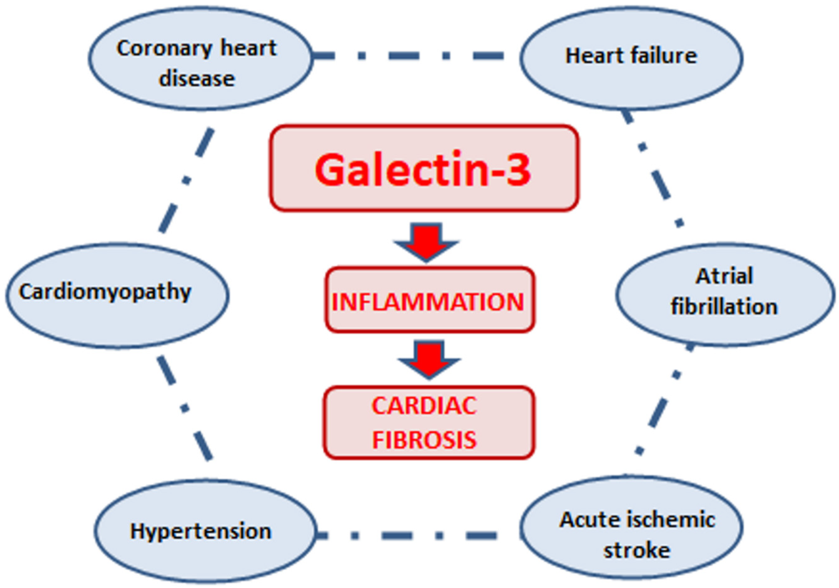 Biomolecules 12 00046 g002