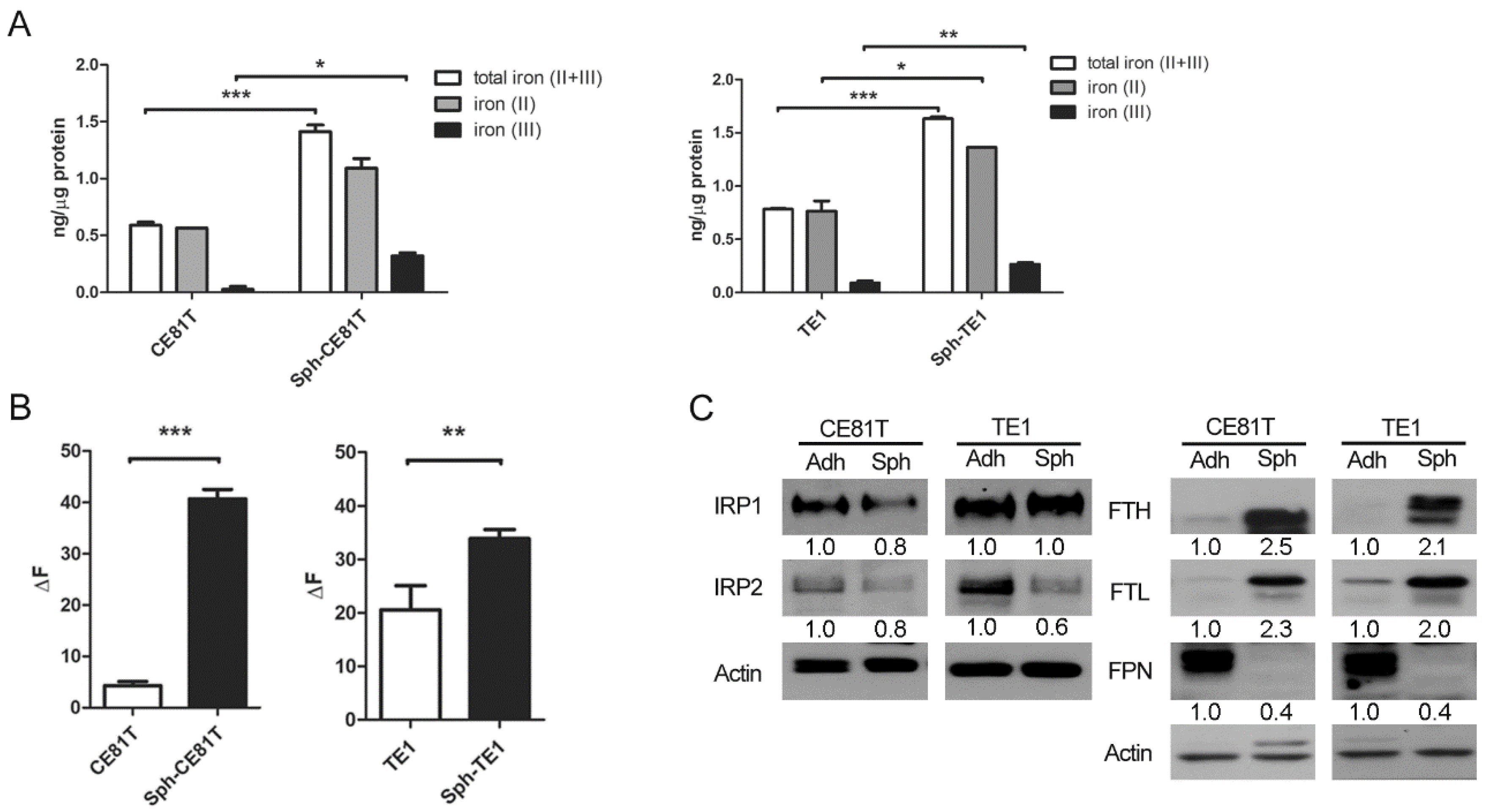 Biomolecules 12 00048 g001 550
