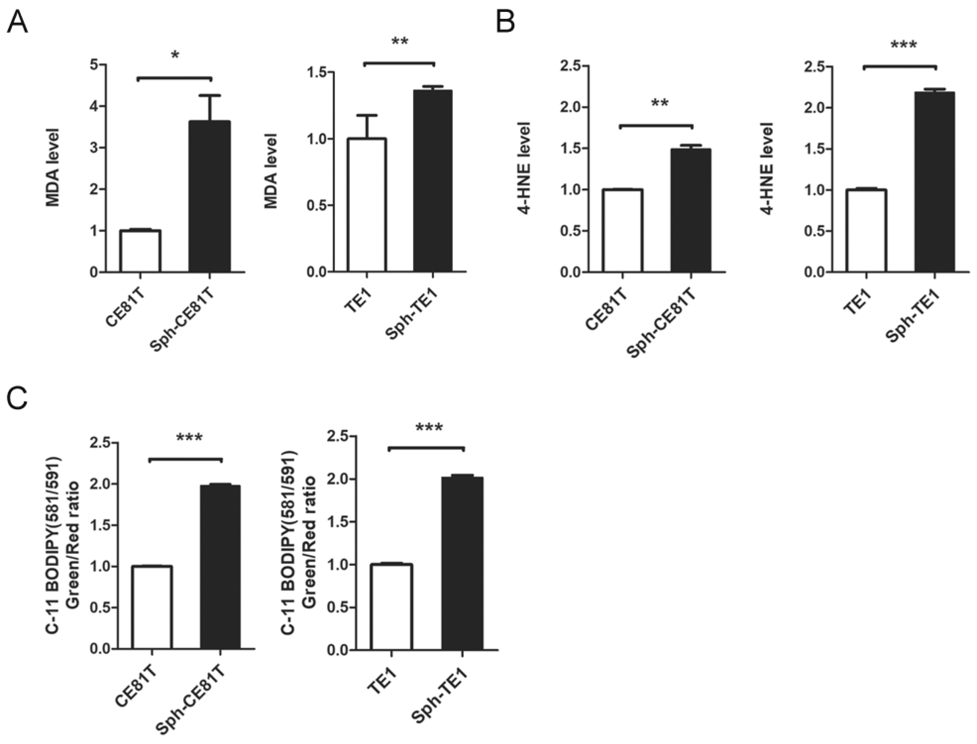 Biomolecules 12 00048 g002 550