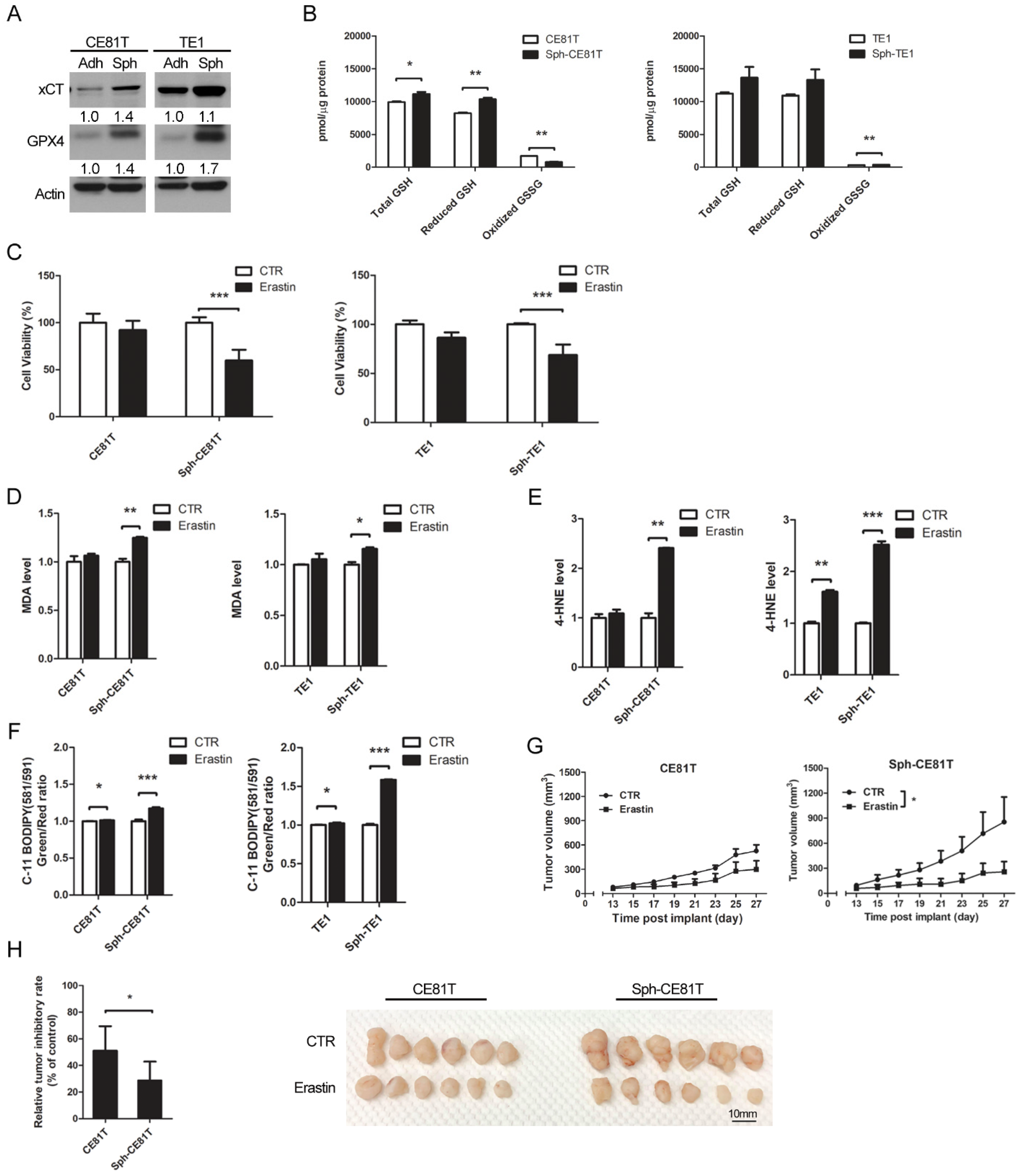 Biomolecules 12 00048 g003 550