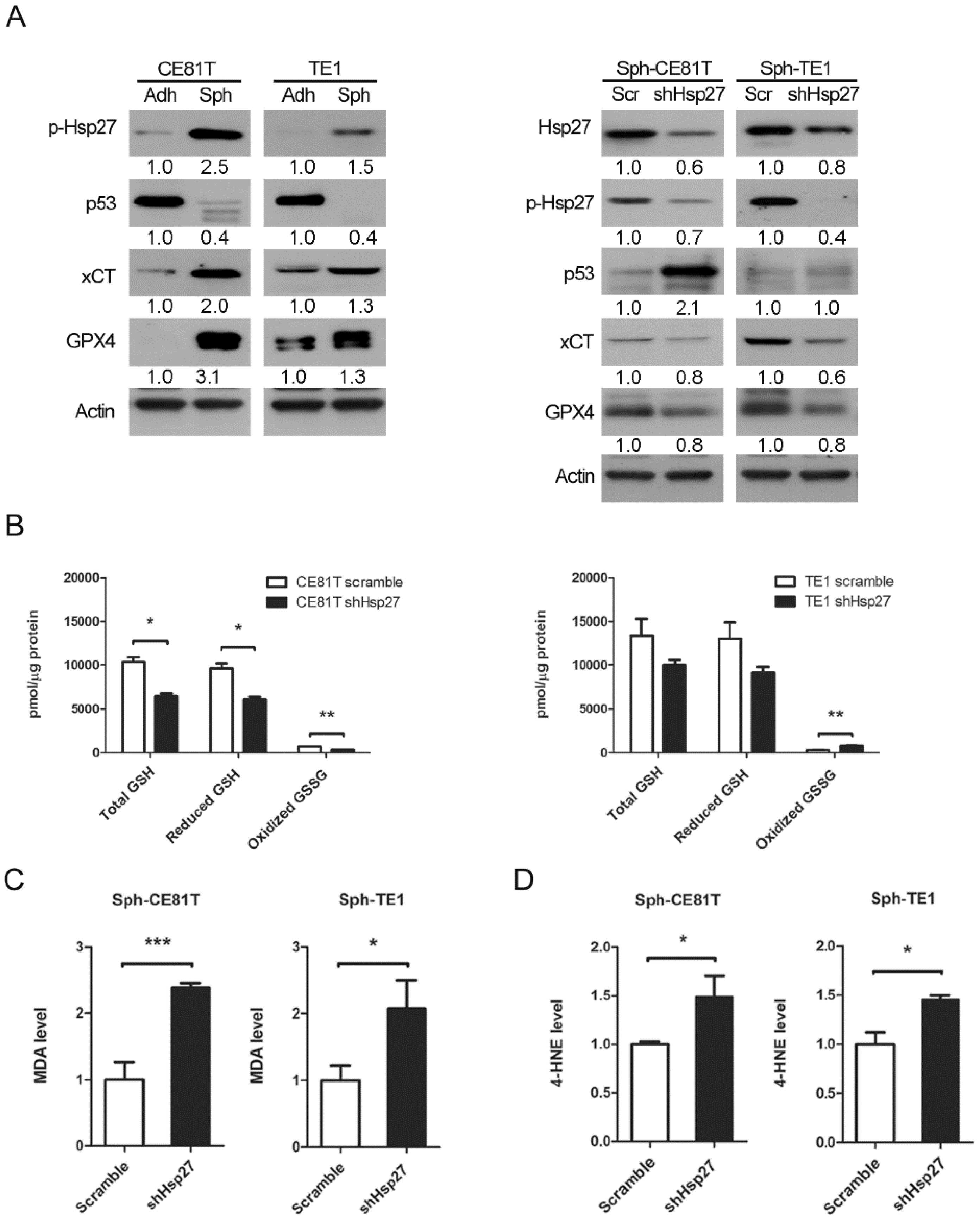 Biomolecules 12 00048 g004 550