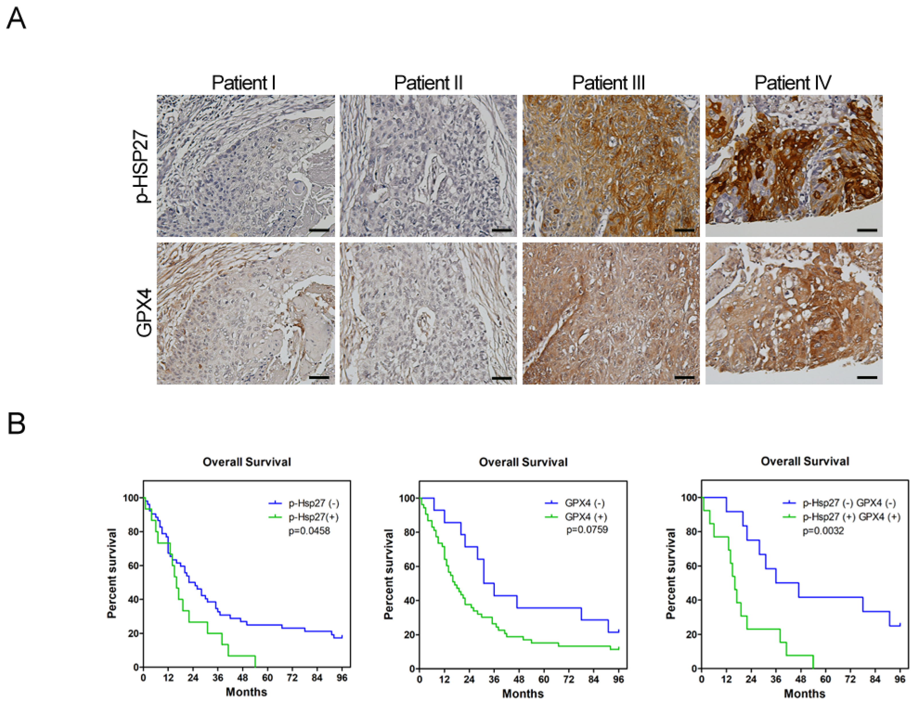 Biomolecules 12 00048 g005 550