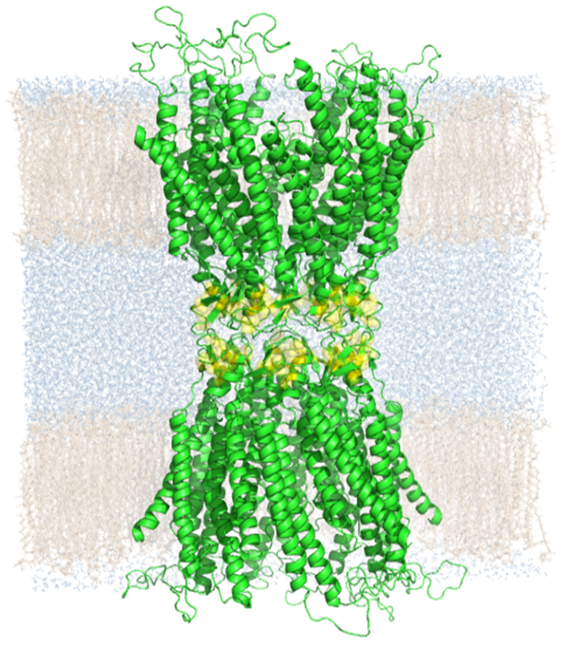 Biomolecules 12 00049 g002 Biomolecules 12 00049 g002