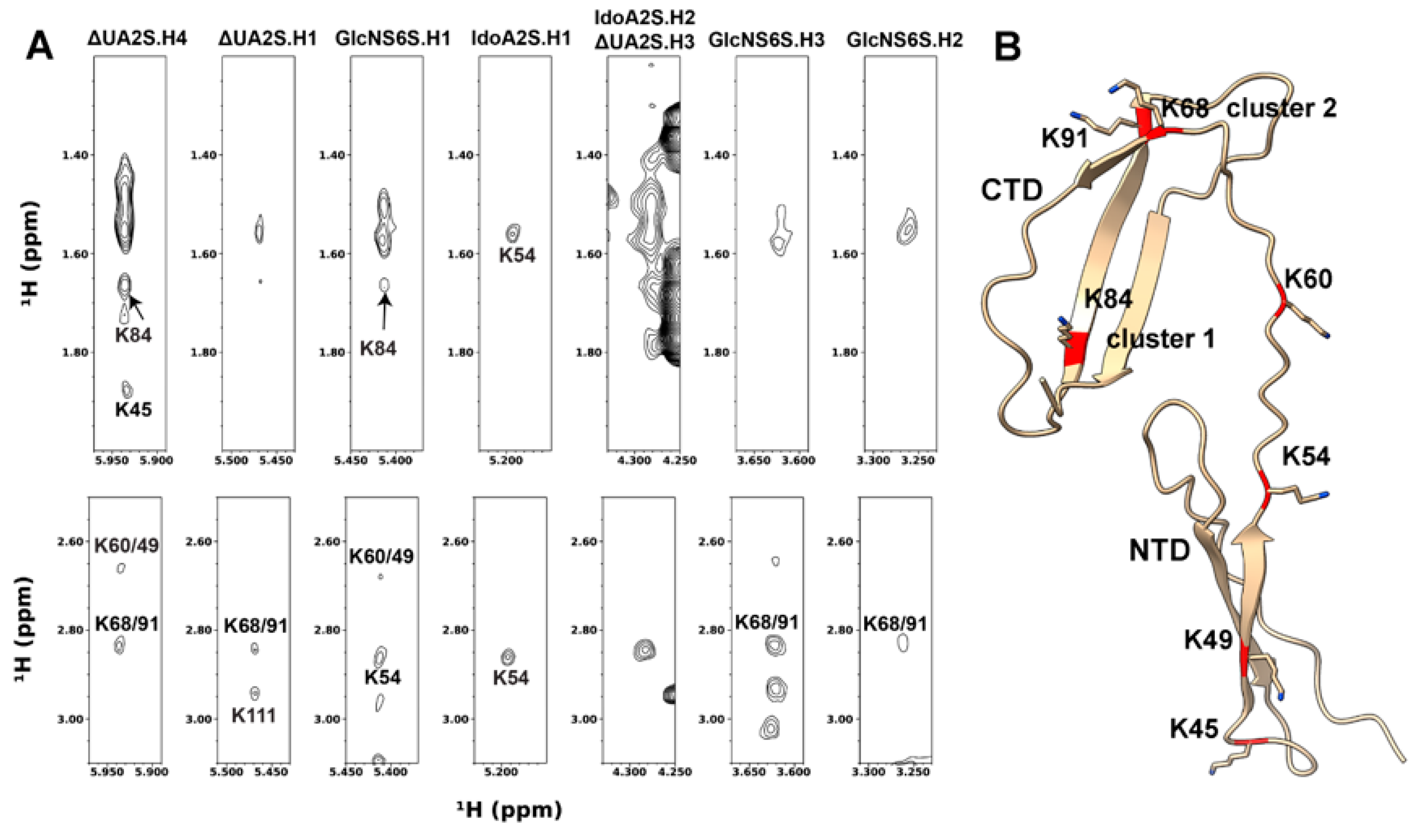 Biomolecules 12 00050 g004