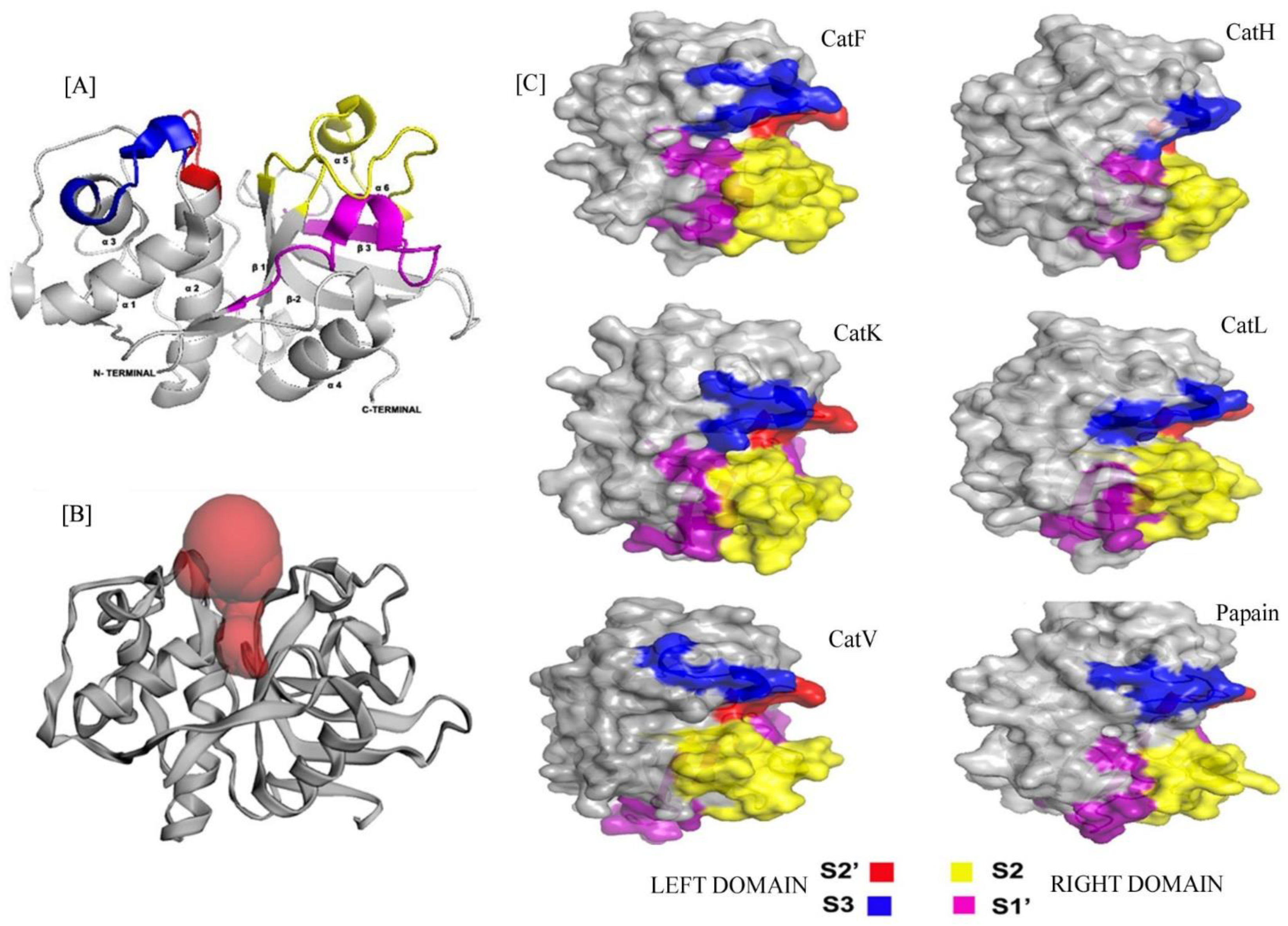 Biomolecules 12 00053 g001