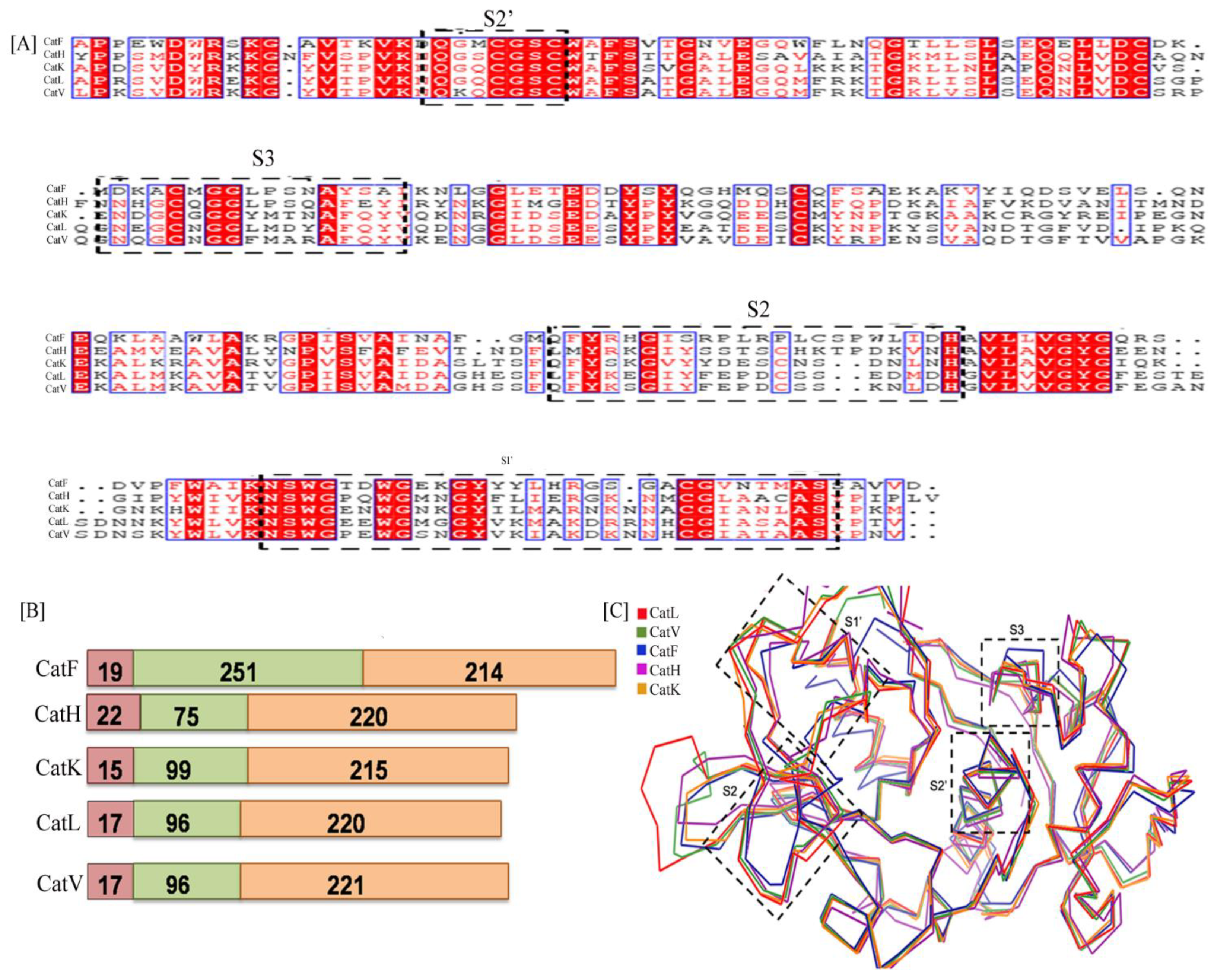 Biomolecules 12 00053 g002