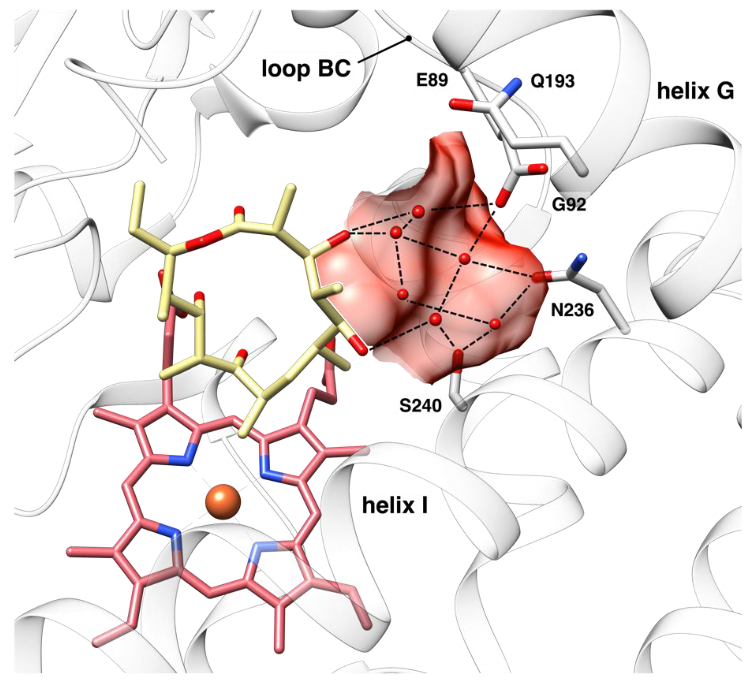 Biomolecules 12 00055 g001