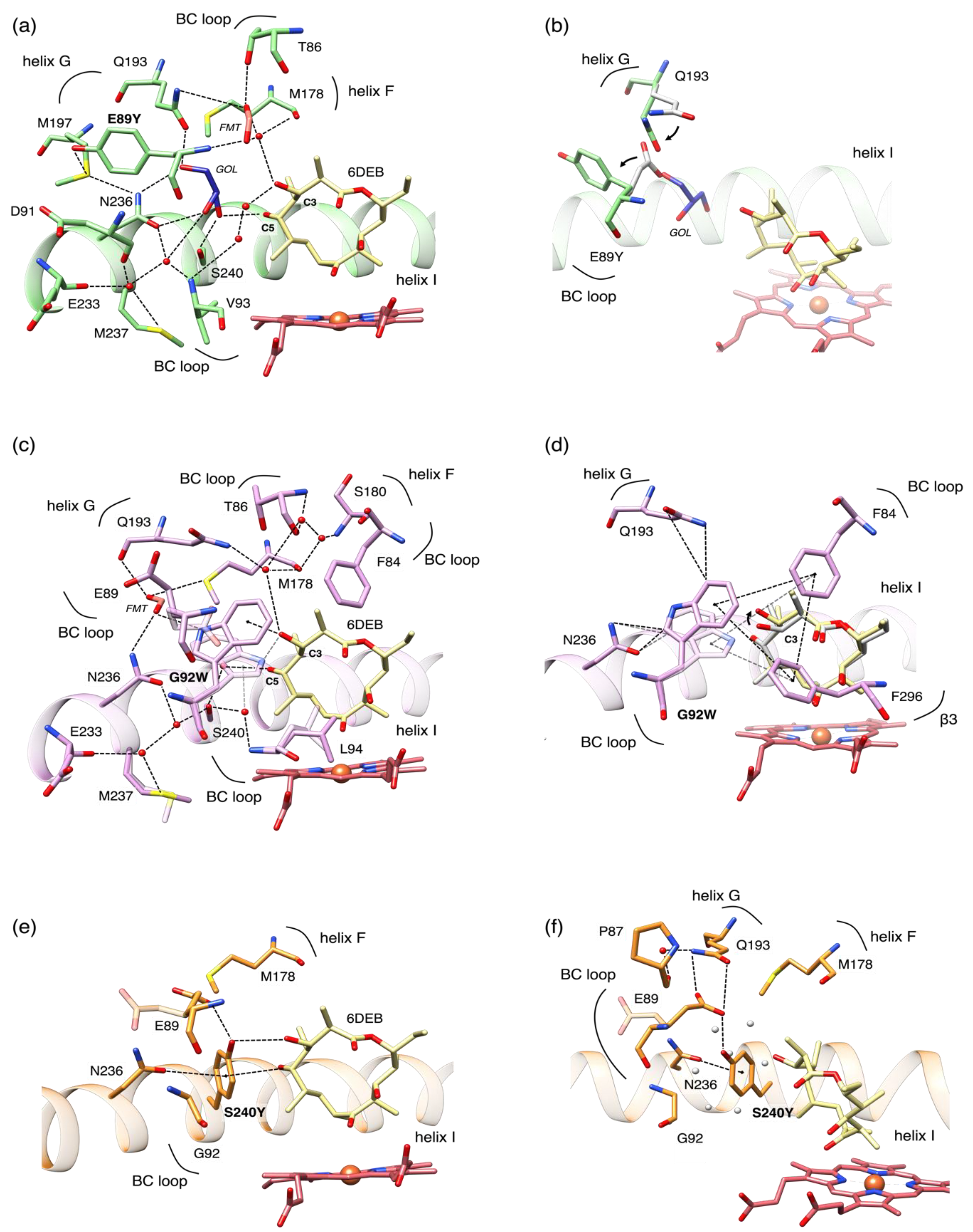 Biomolecules 12 00055 g003