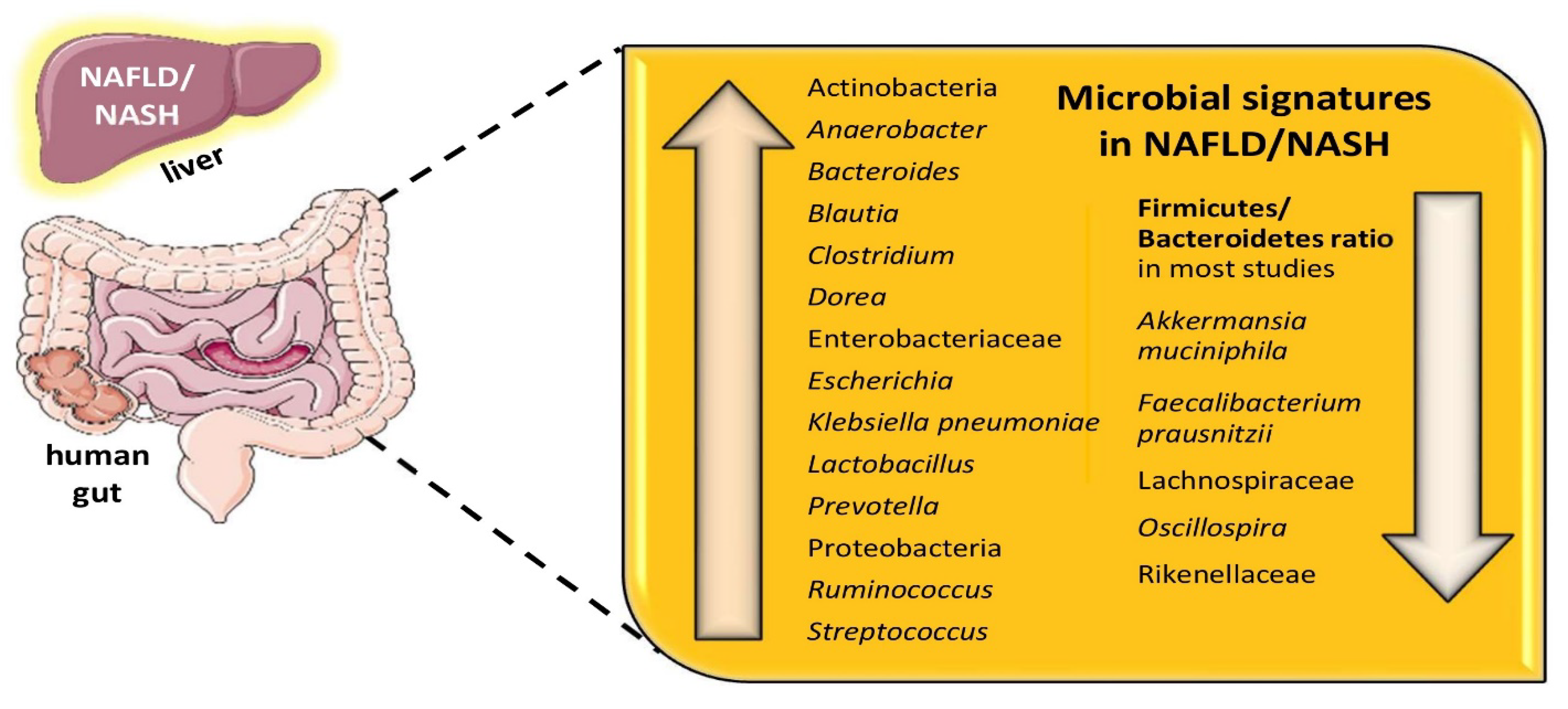 Biomolecules 12 00056 g002
