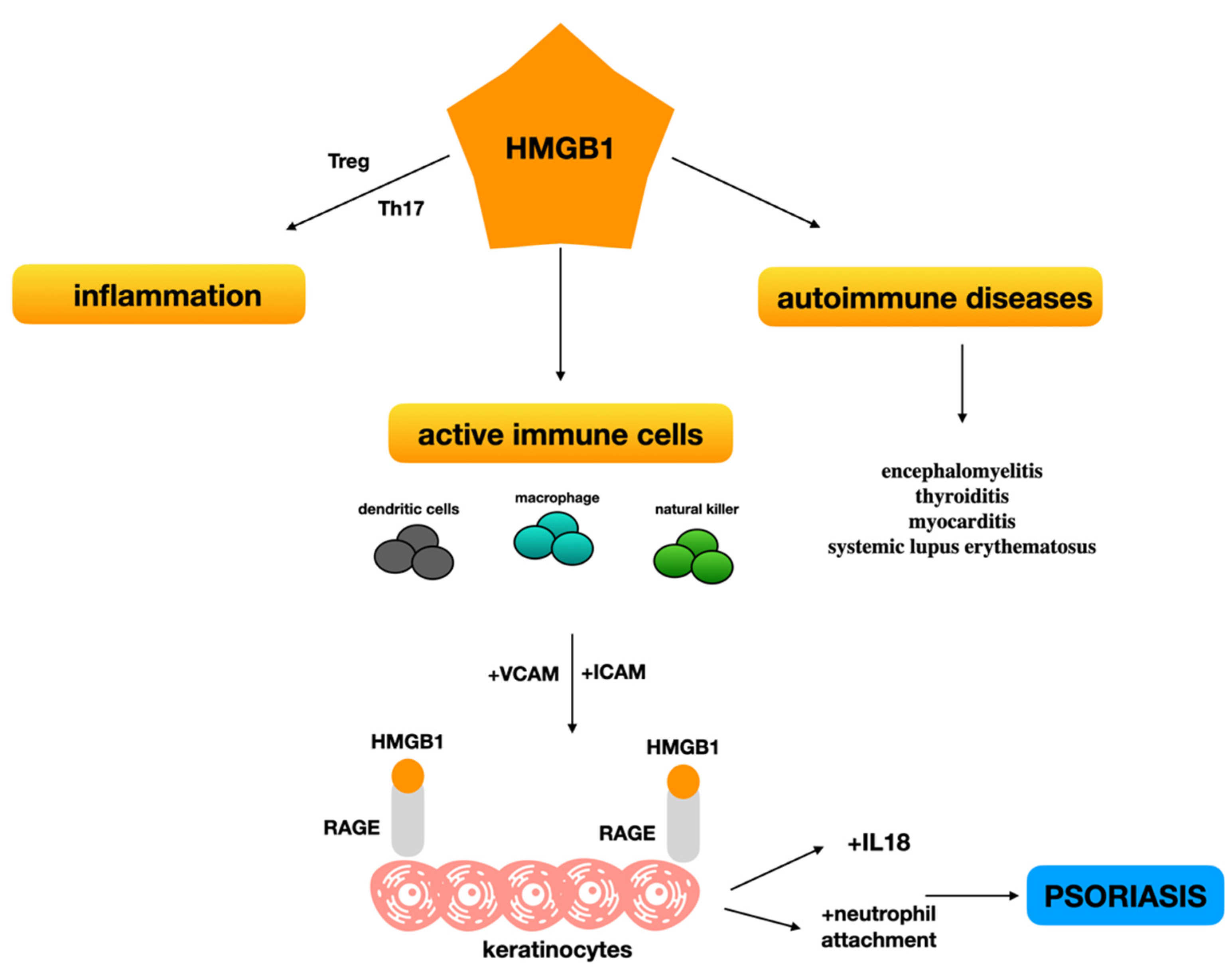 Biomolecules 12 00060 g001