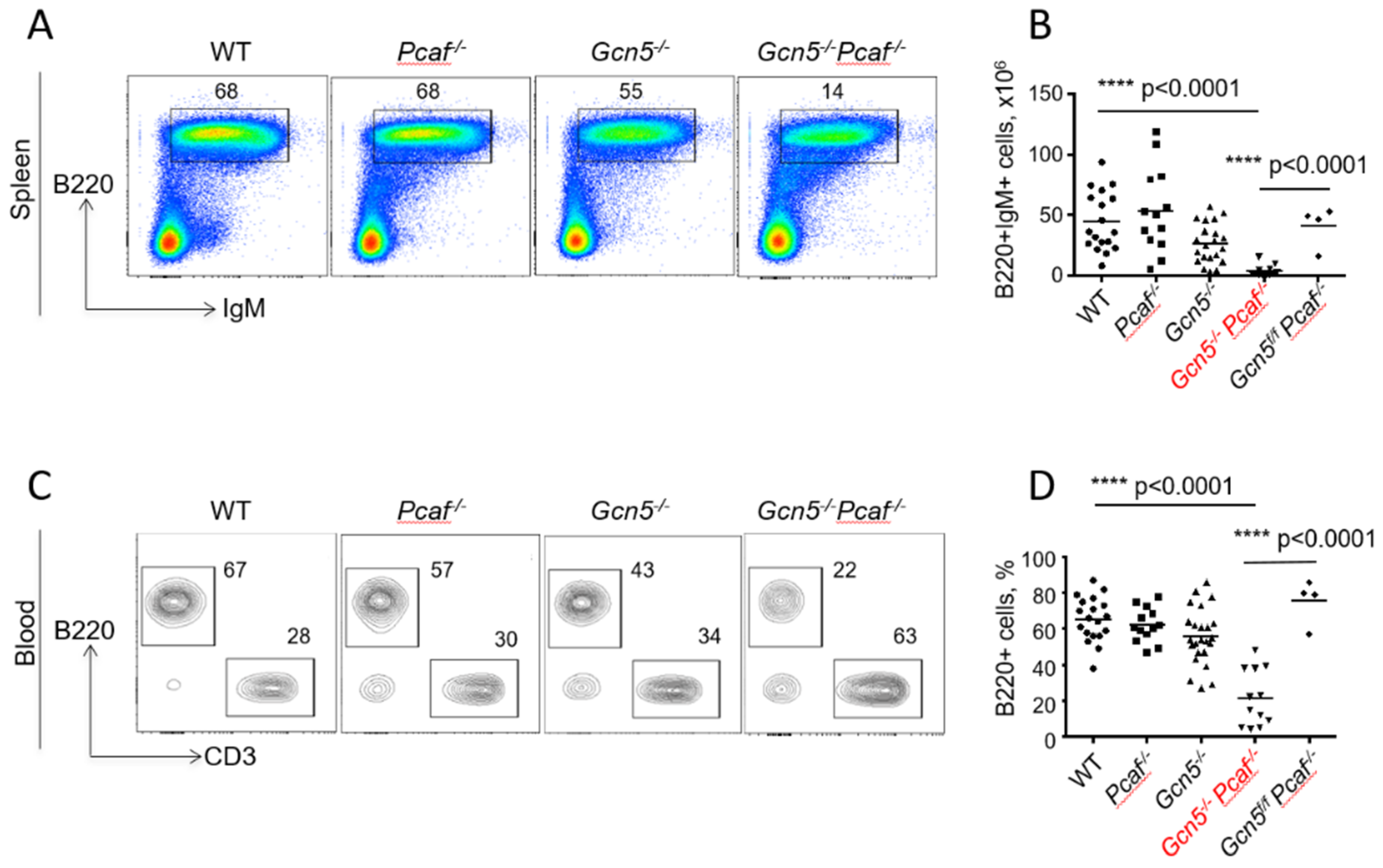 Biomolecules 12 00061 g002