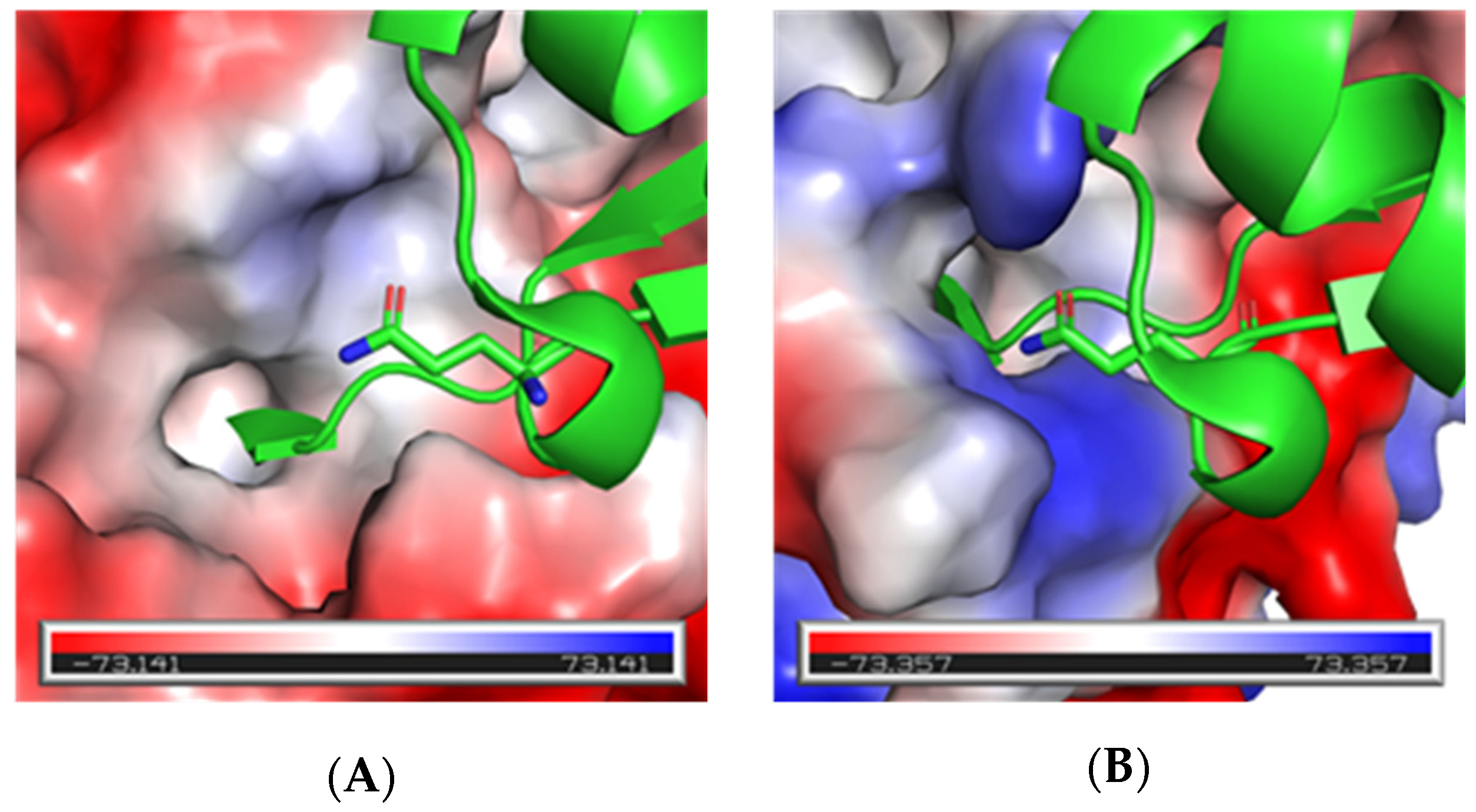 Biomolecules 12 00062 g002