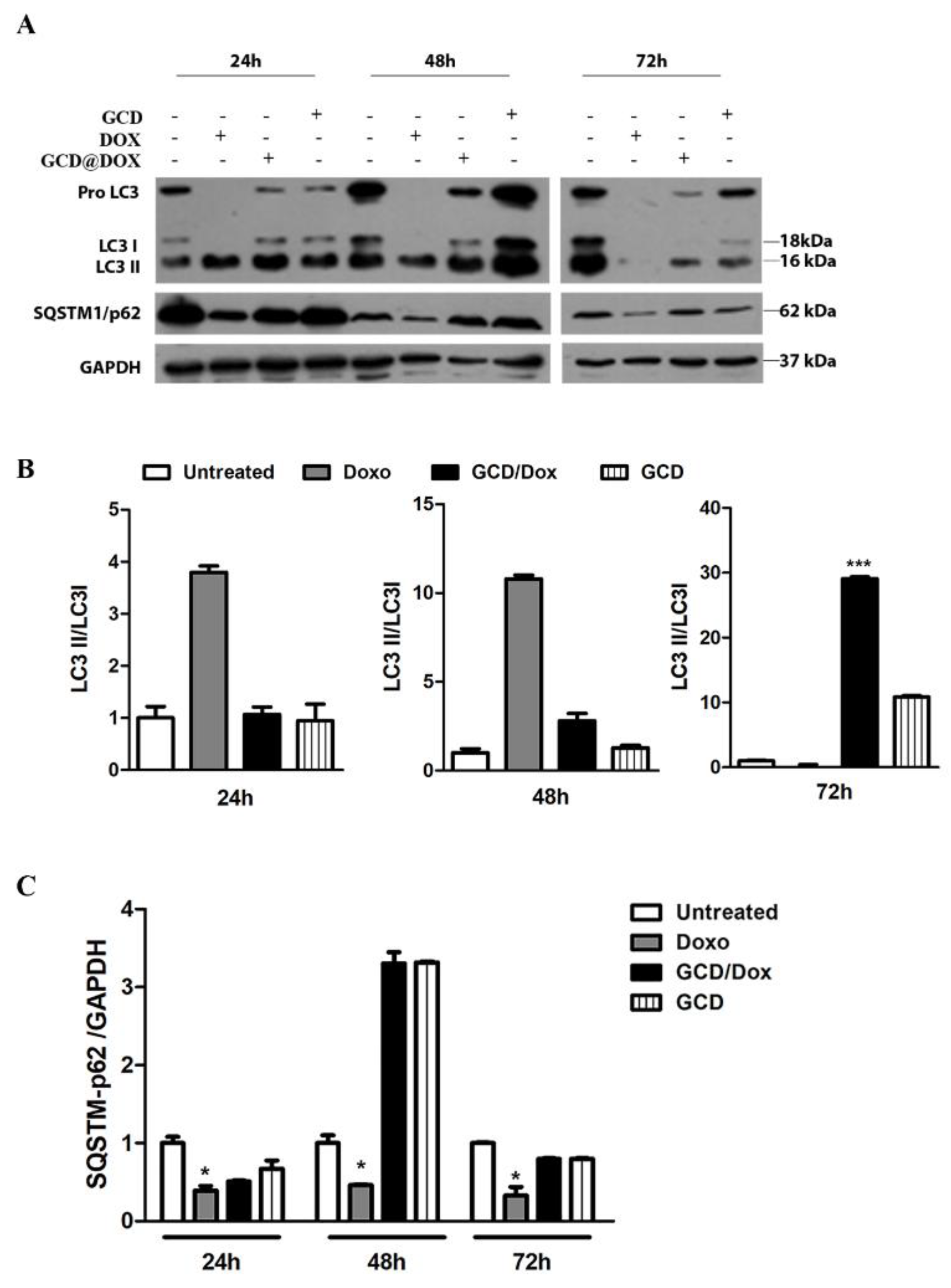 Biomolecules 12 00063 g005 550