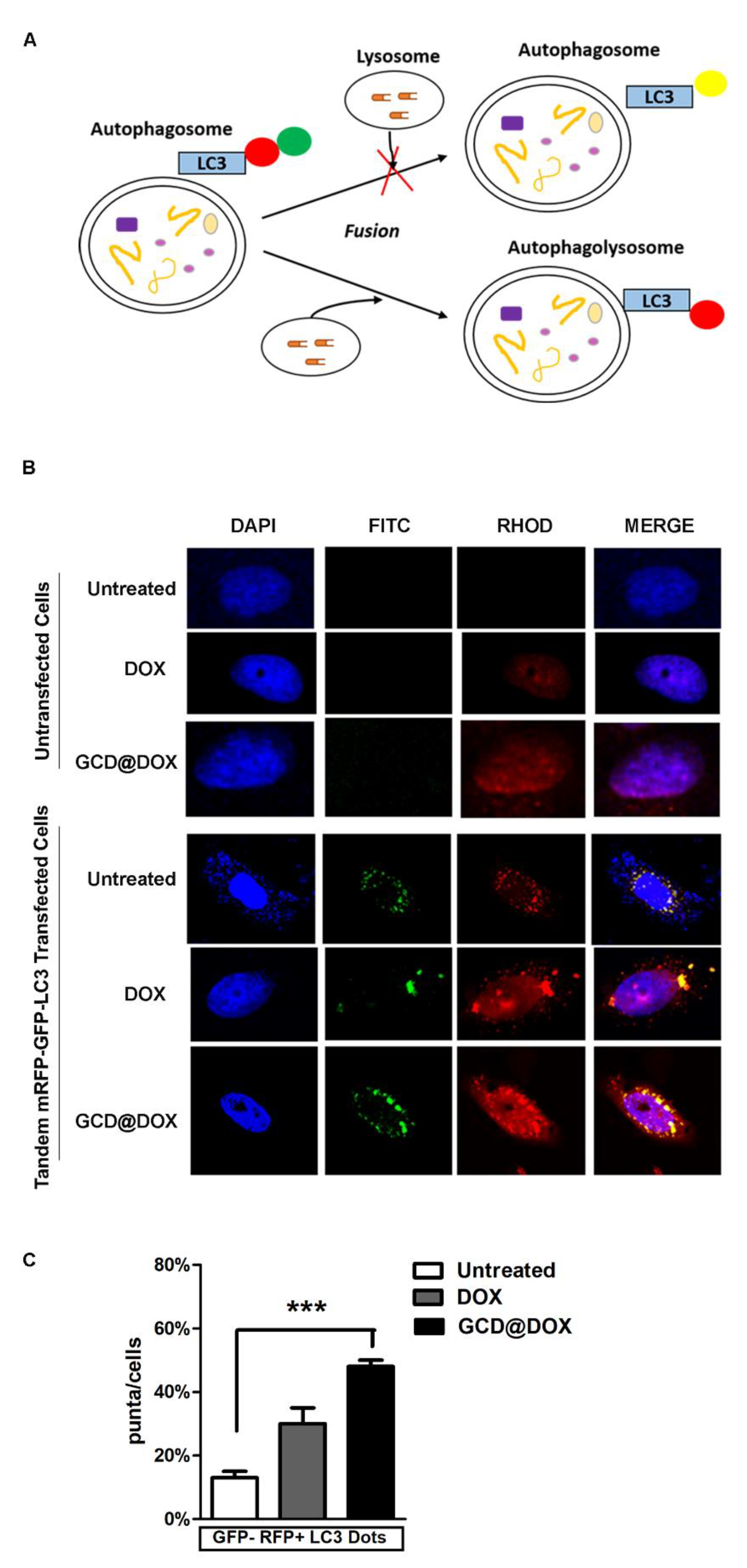 Biomolecules 12 00063 g006 550