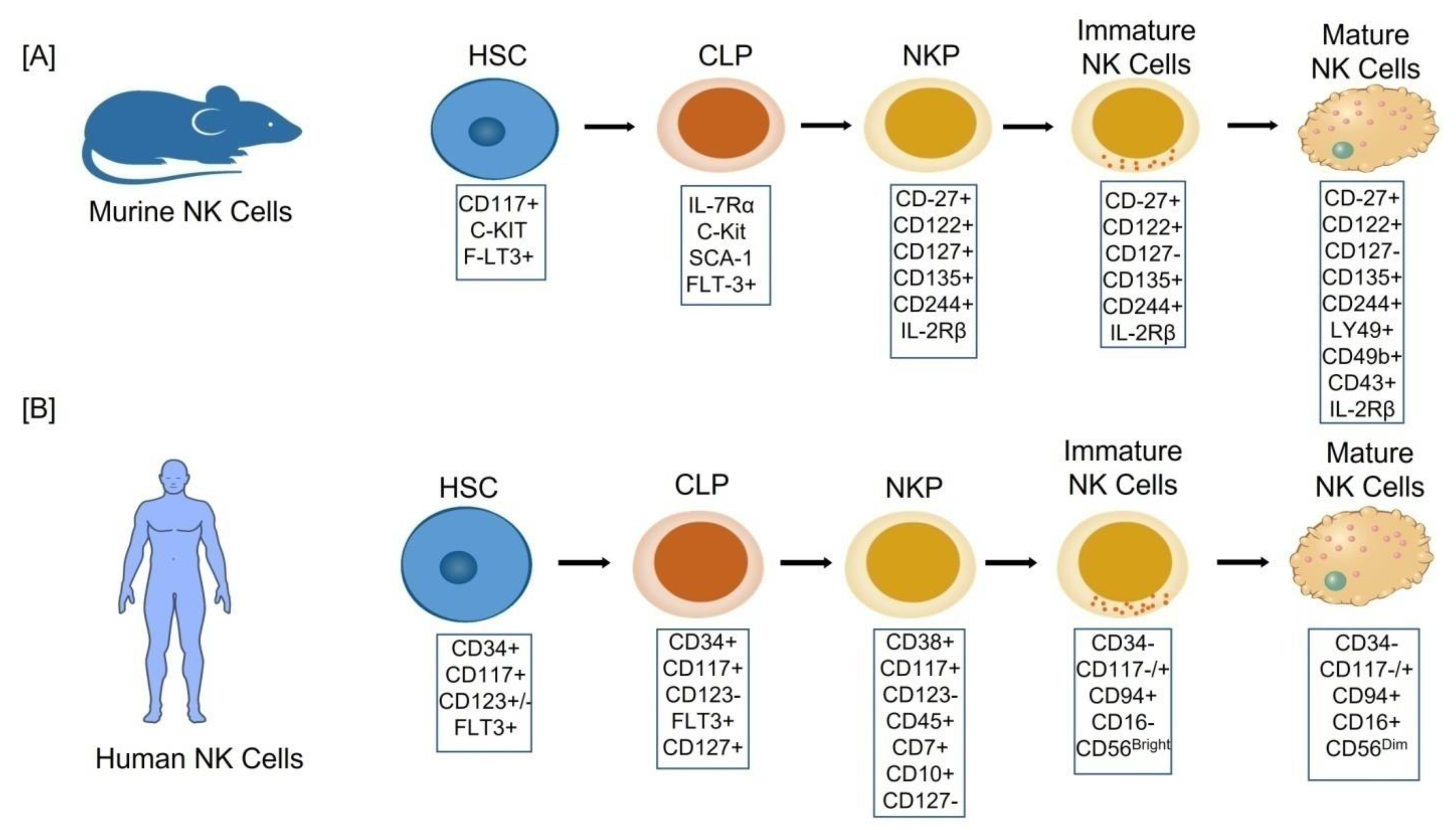 Biomolecules 12 00068 g001 Biomolecules 12 00068 g001