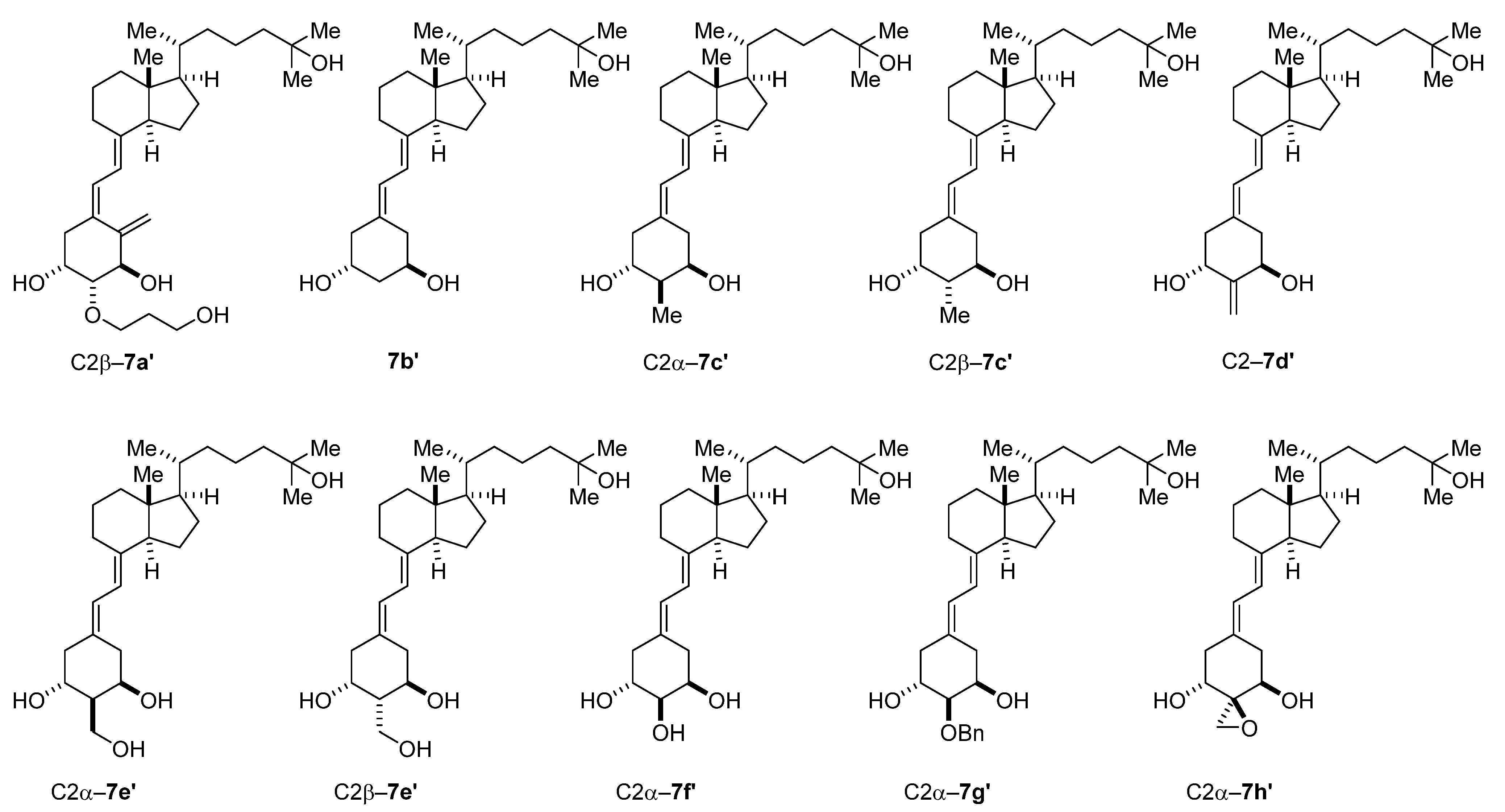 Biomolecules 12 00069 g001