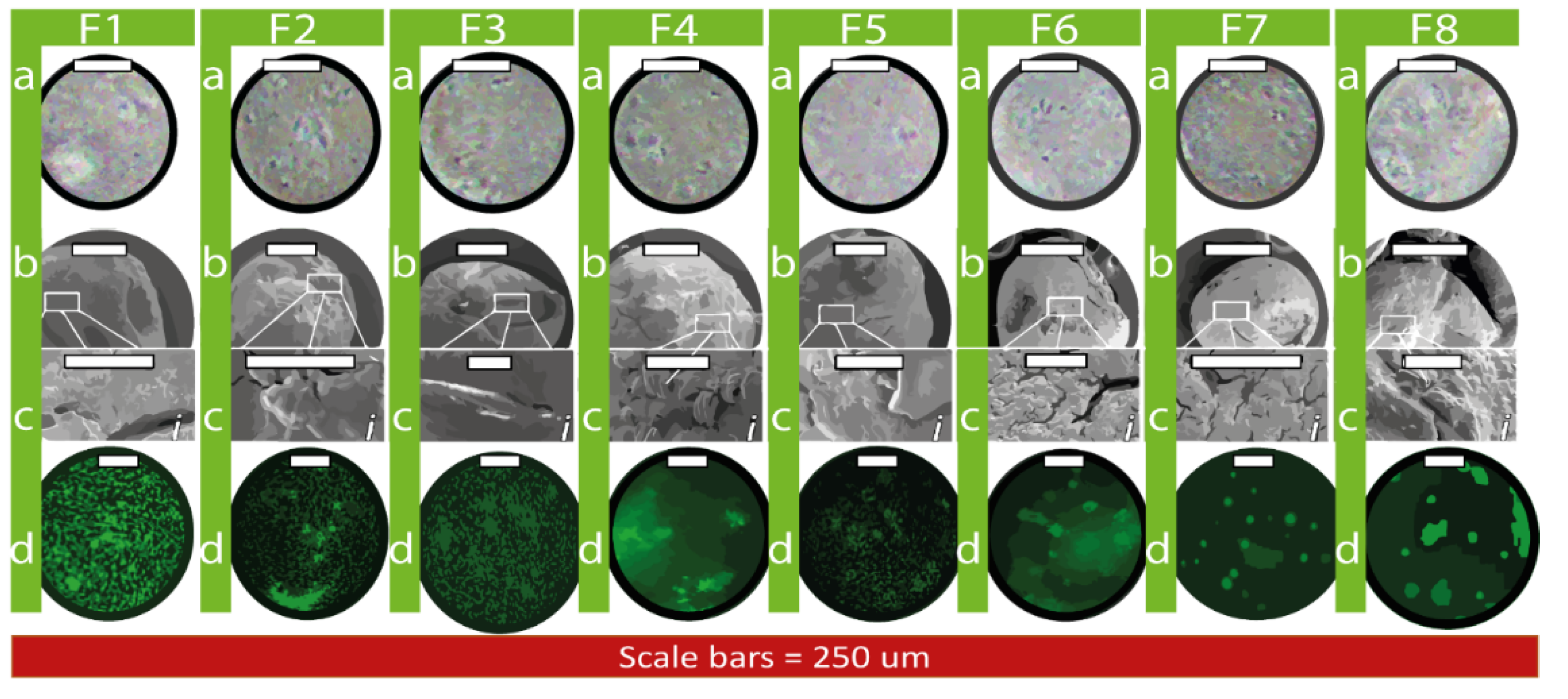 Biomolecules 12 00073 g001