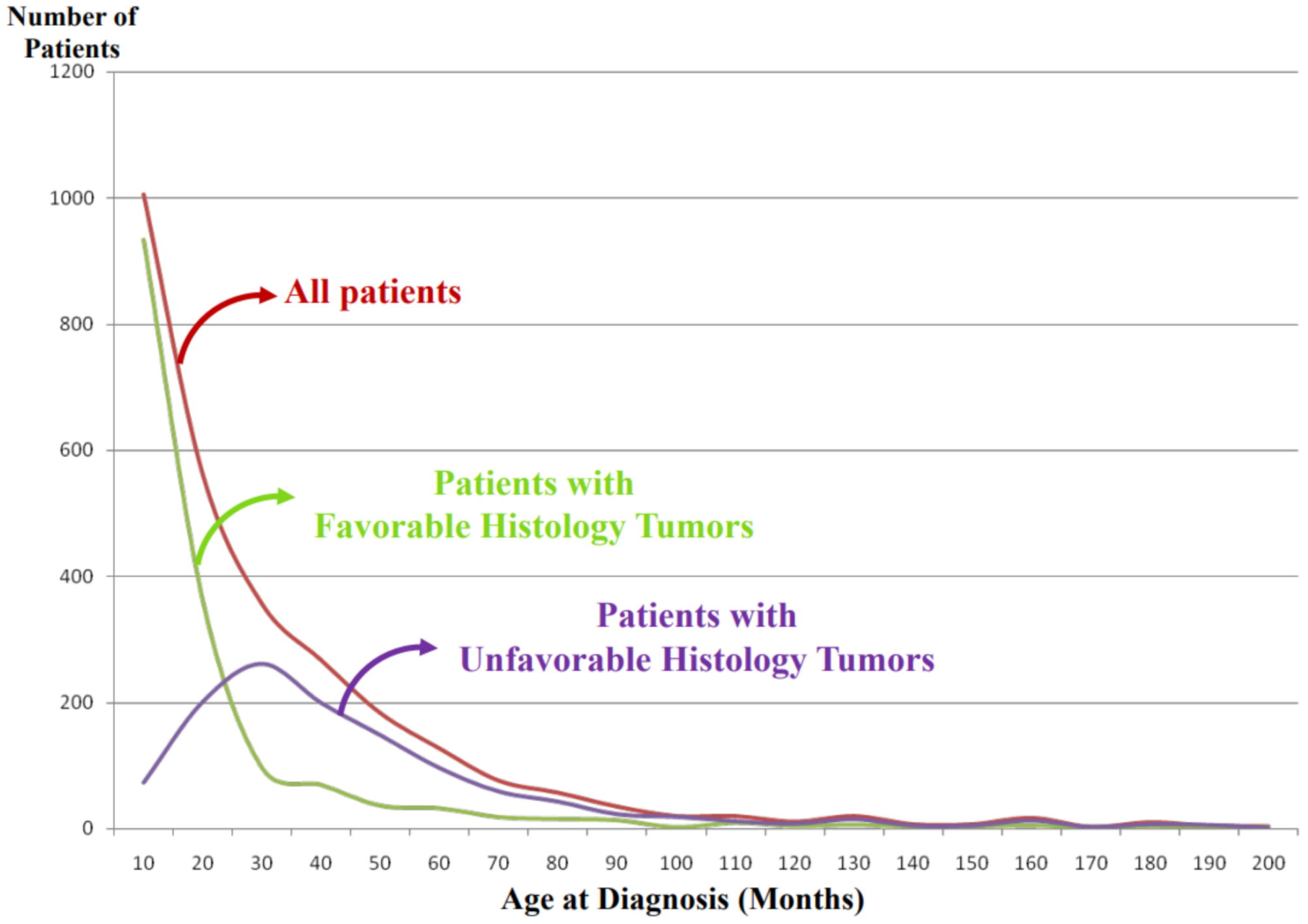 Biomolecules 12 00079 g004 Biomolecules 12 00079 g004