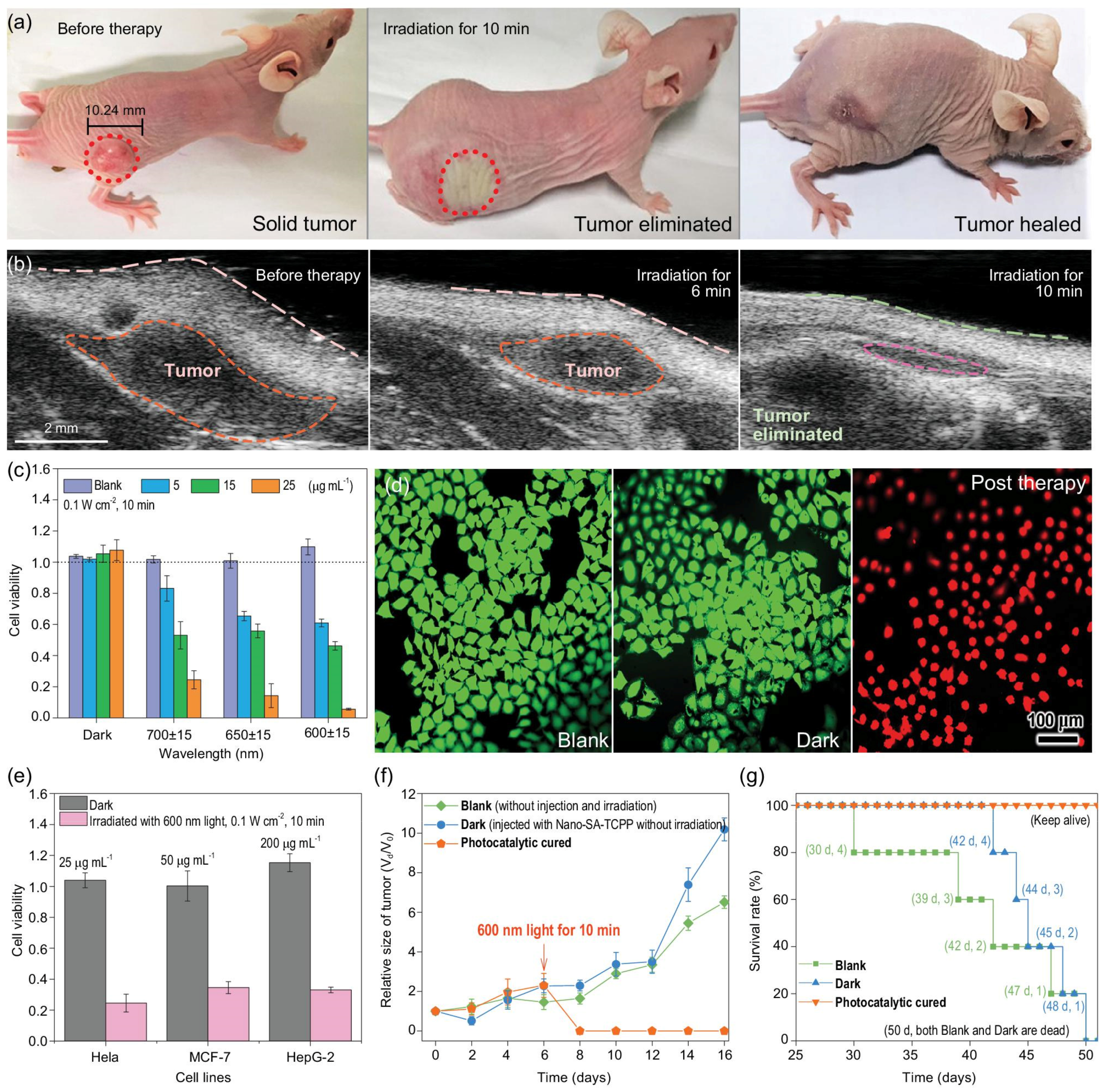 Biomolecules 12 00081 g001 Biomolecules 12 00081 g001